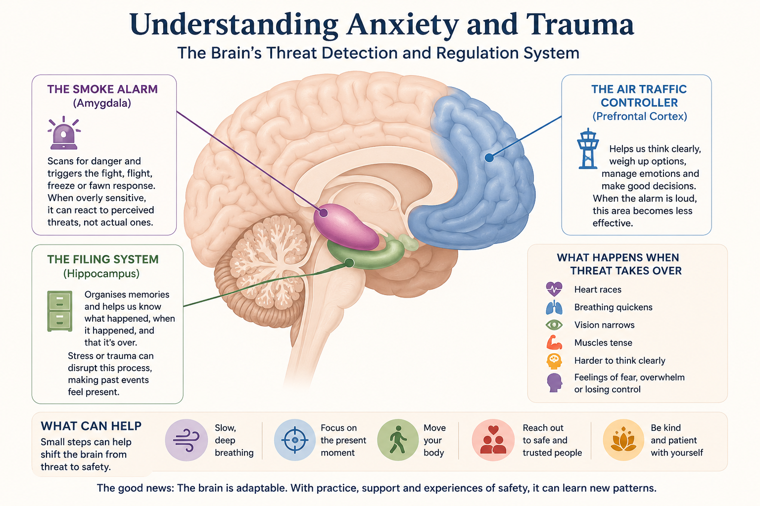 Your brain’s alarm system: Anxiety, trauma, and survival