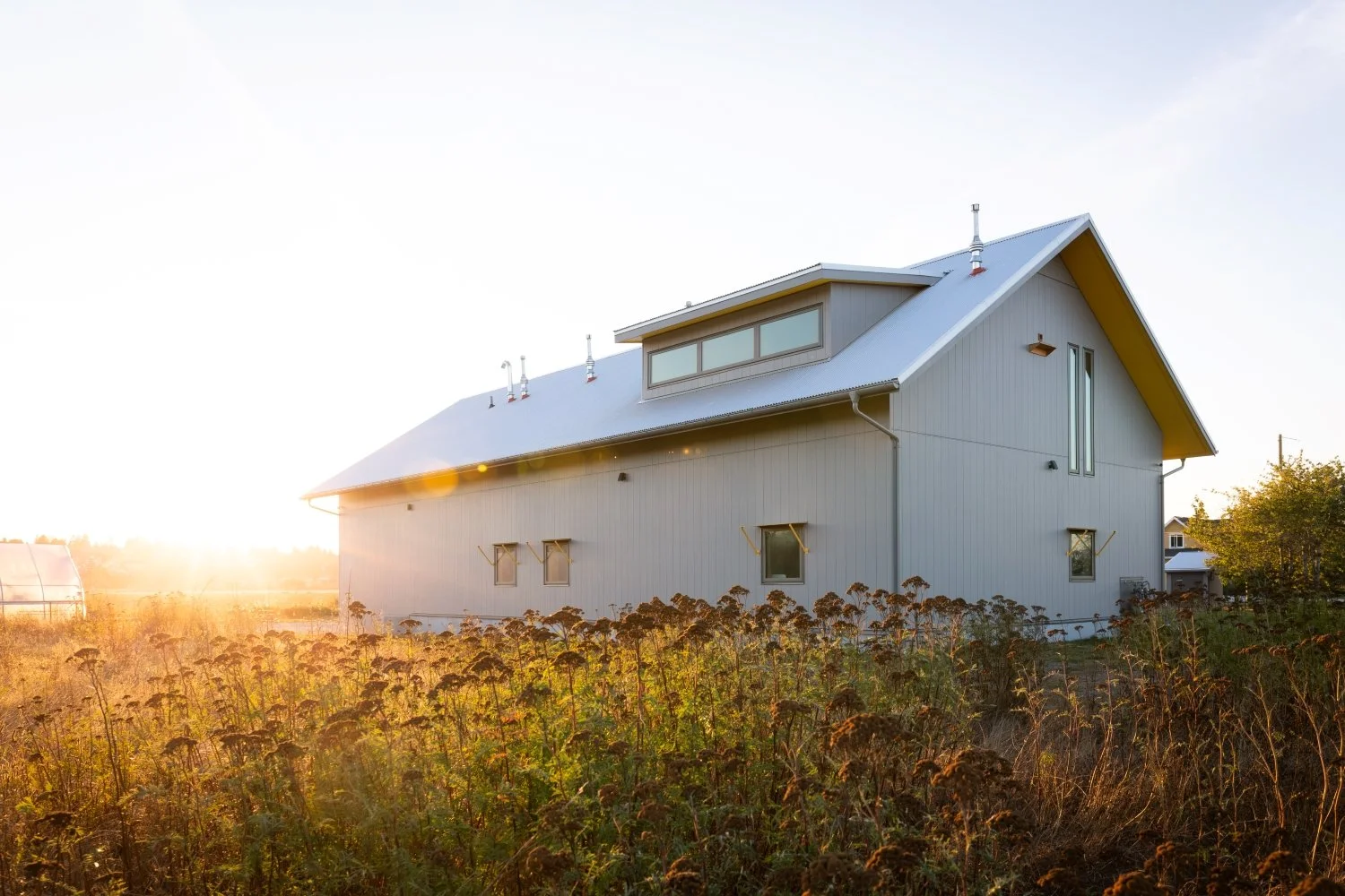 Delta Machine shed-7_resized.jpg