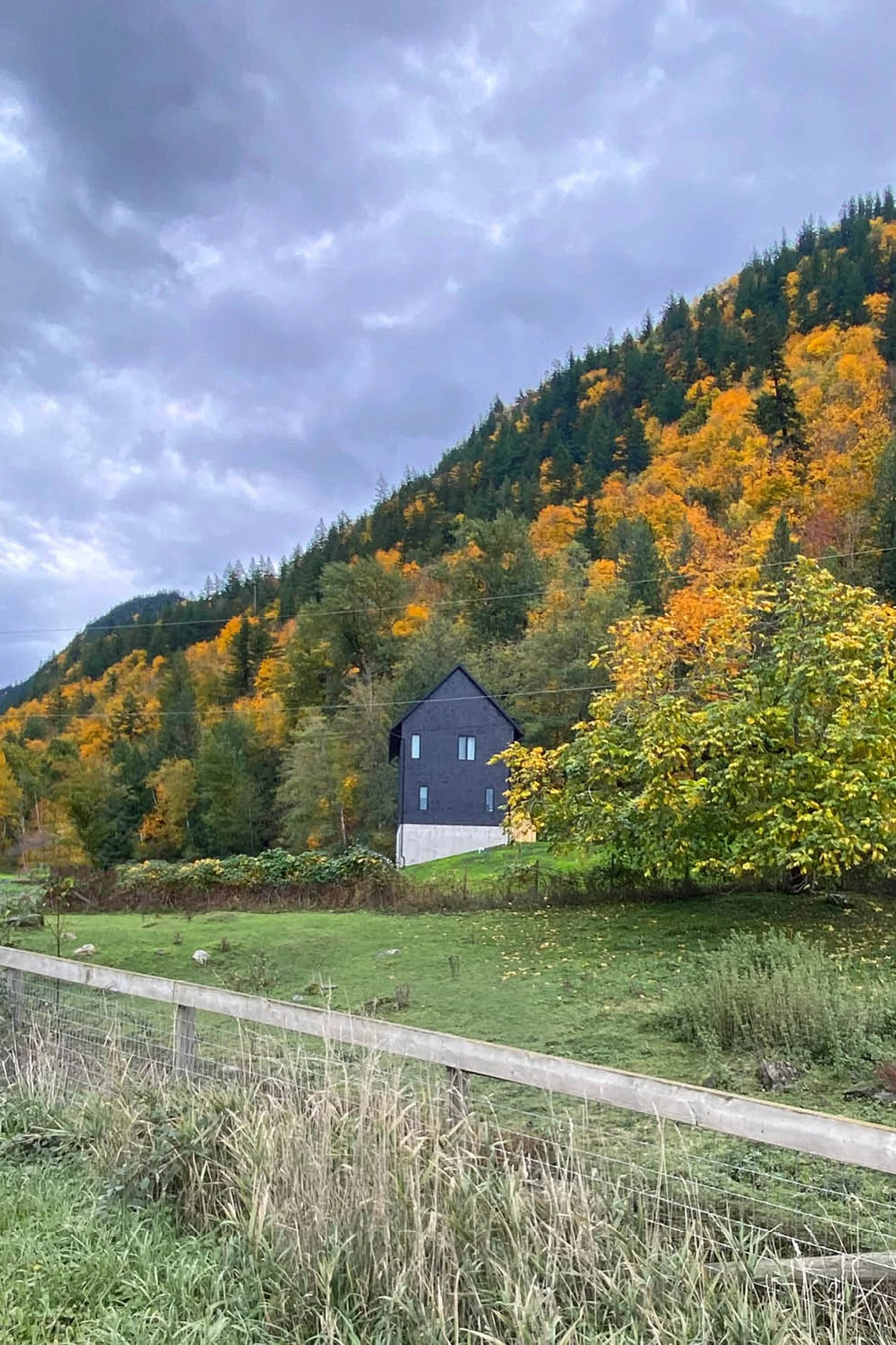 2021 11 04 Lochhead fall Posts3_resized.jpg