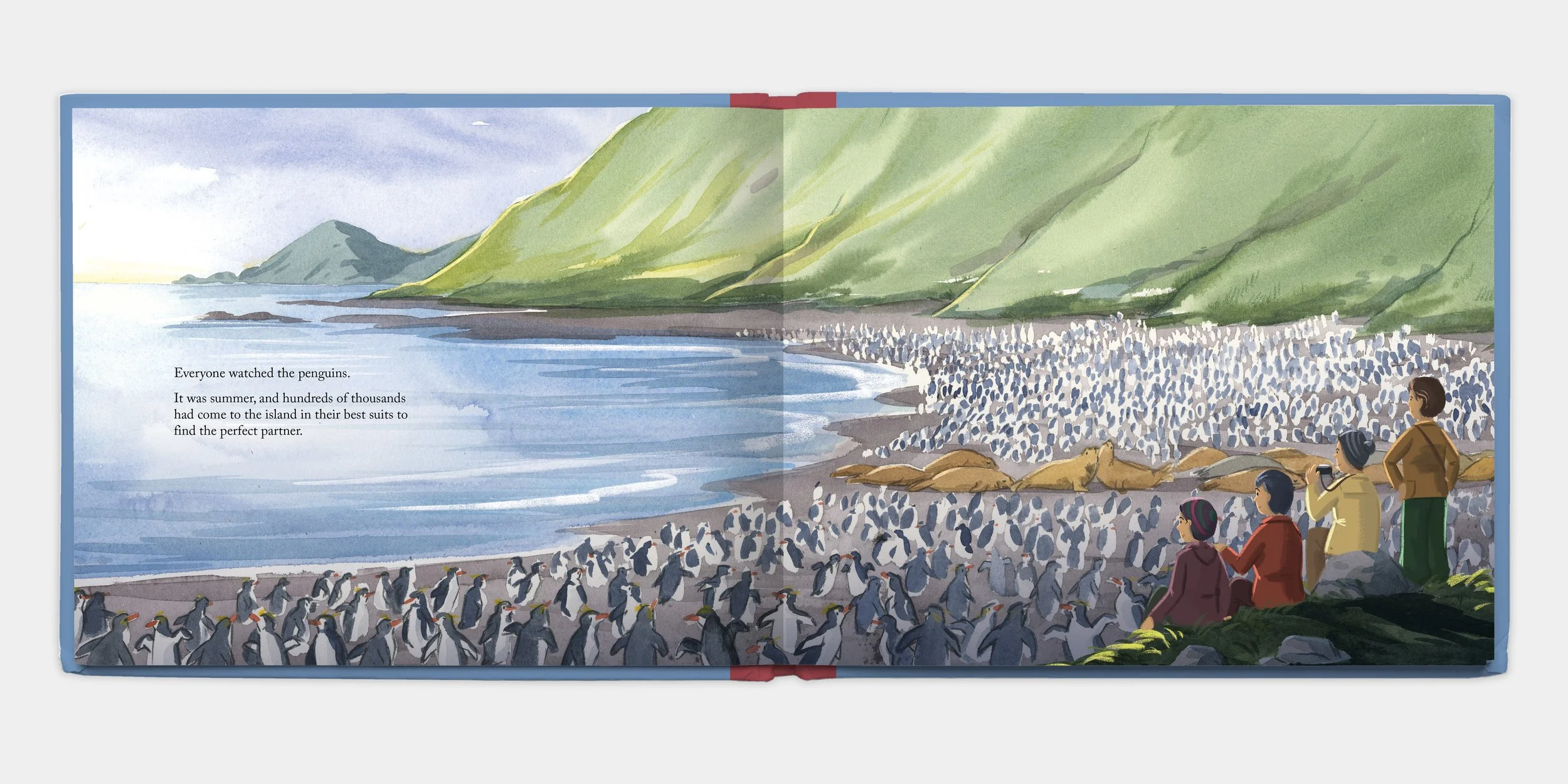 South with the Seabirds