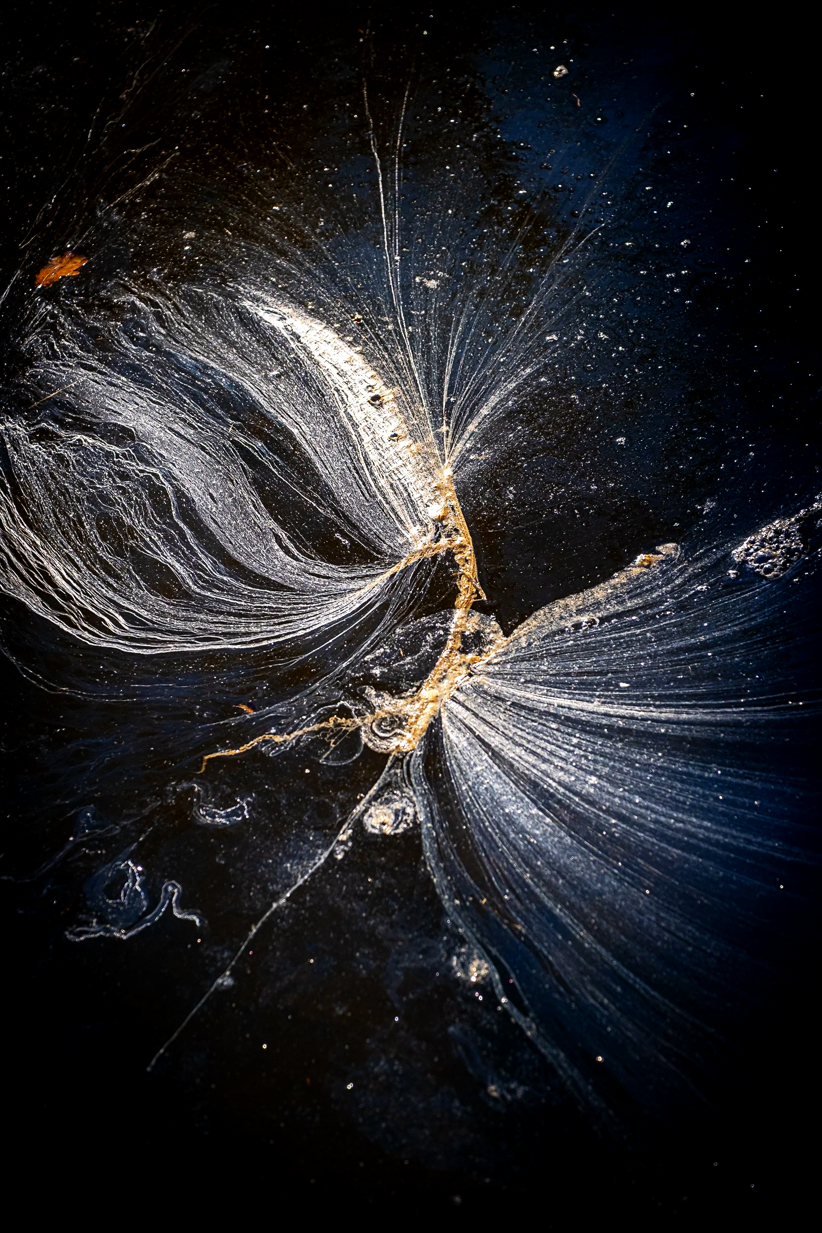 Spume Swirl 1