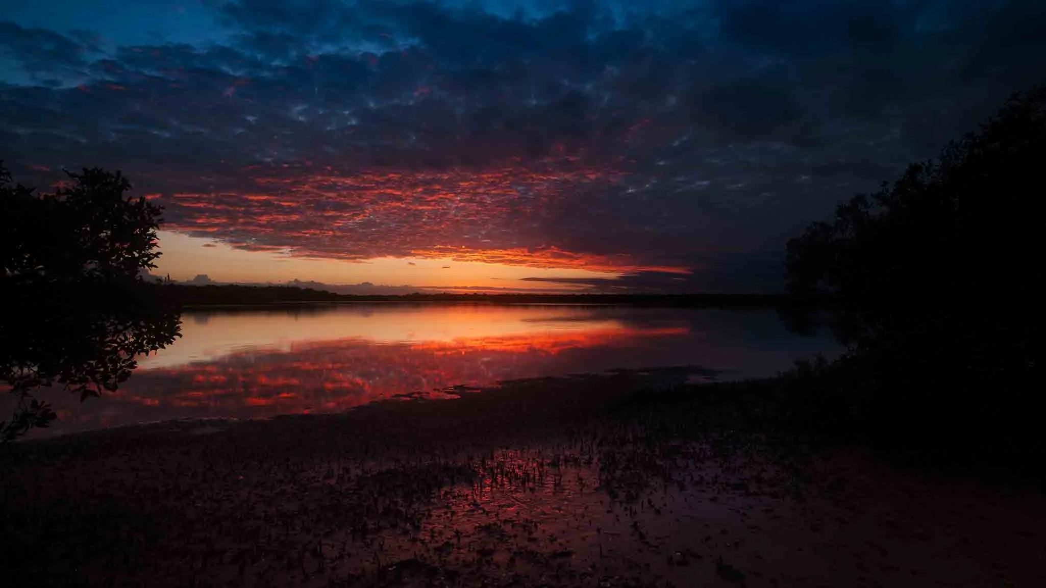 Silence of a Sunrise