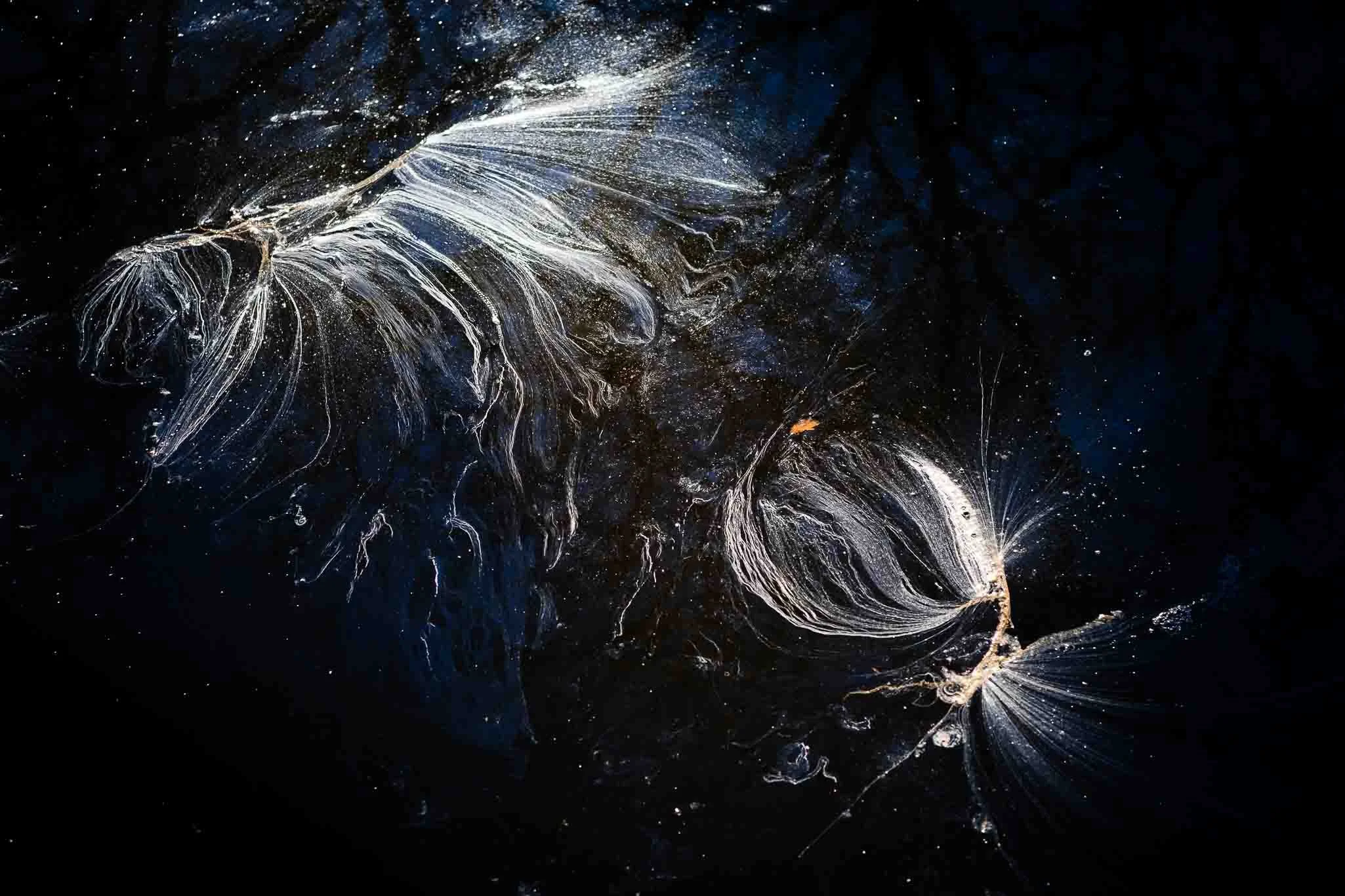 Foam Creature Of The Creek