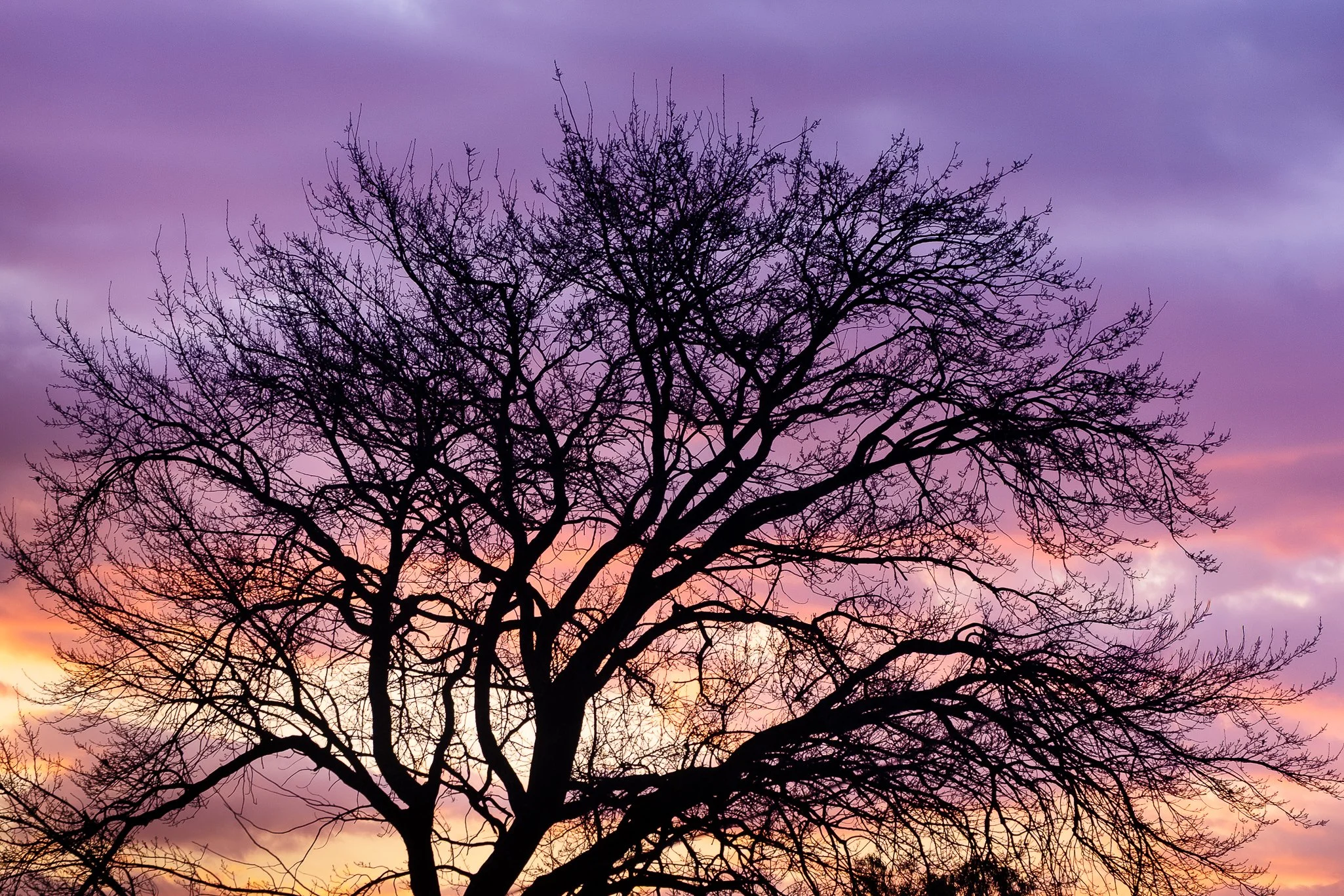 Sunset Shadow