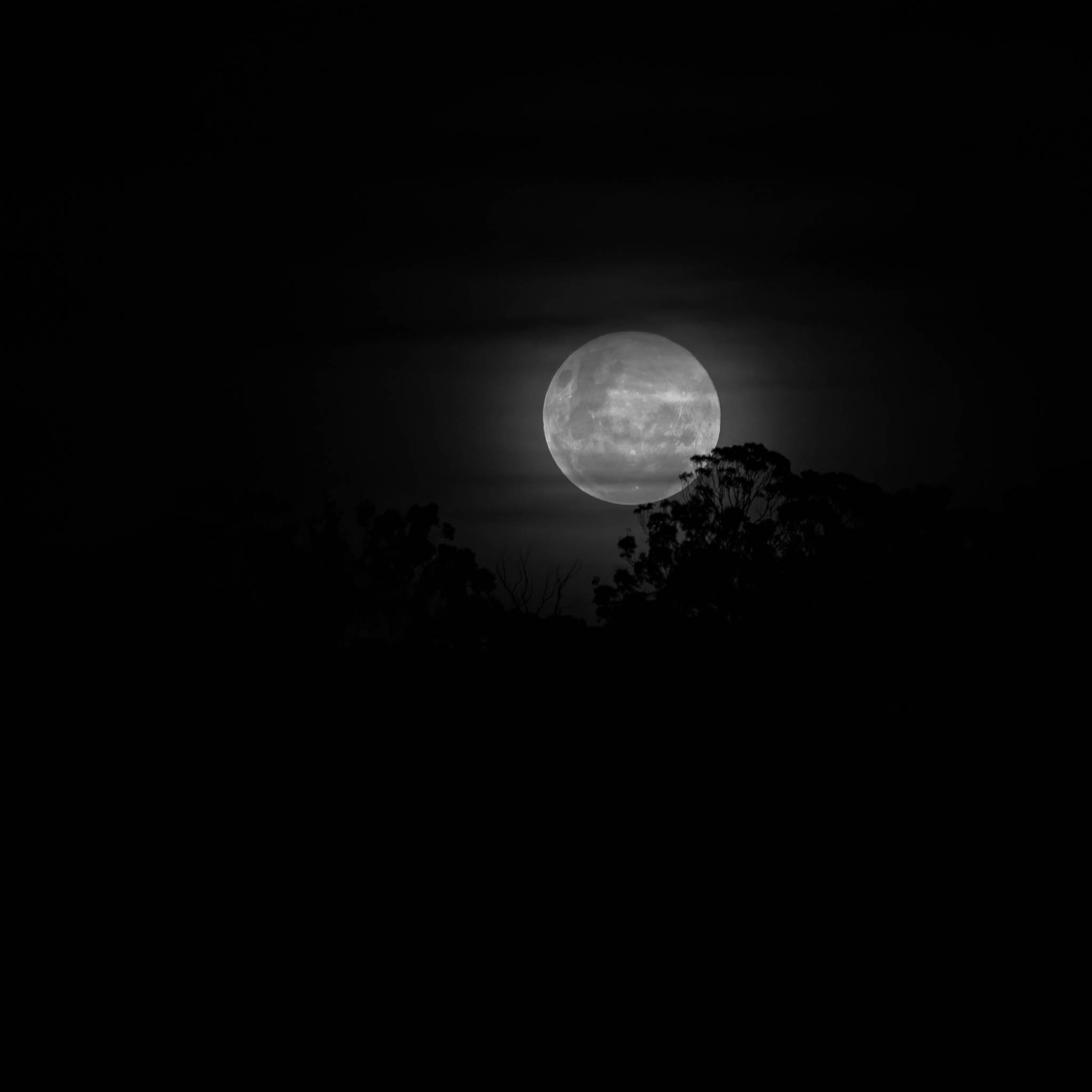 Shadows of the moon