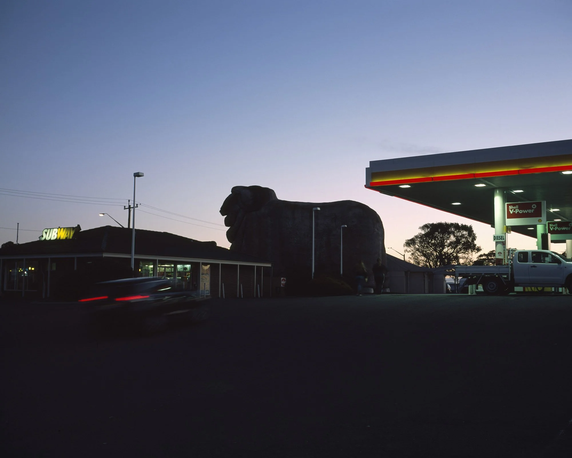 AUSTRALIAN_LUSTRE_E6_120_000016.jpg