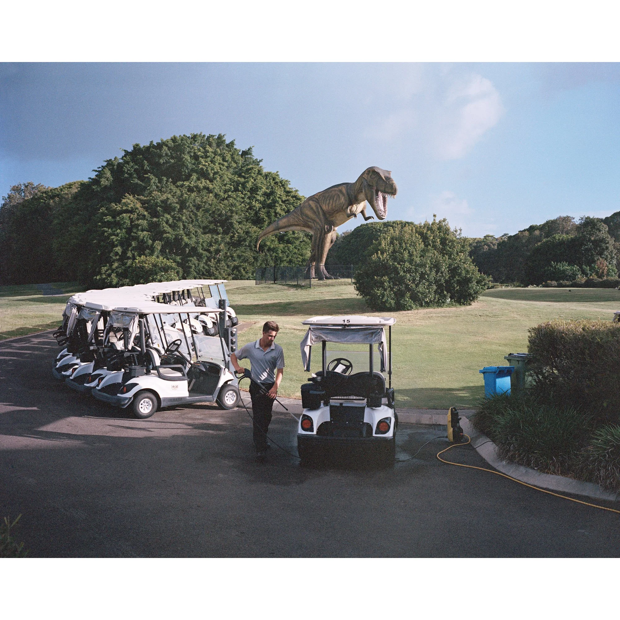 Cart Fifteen