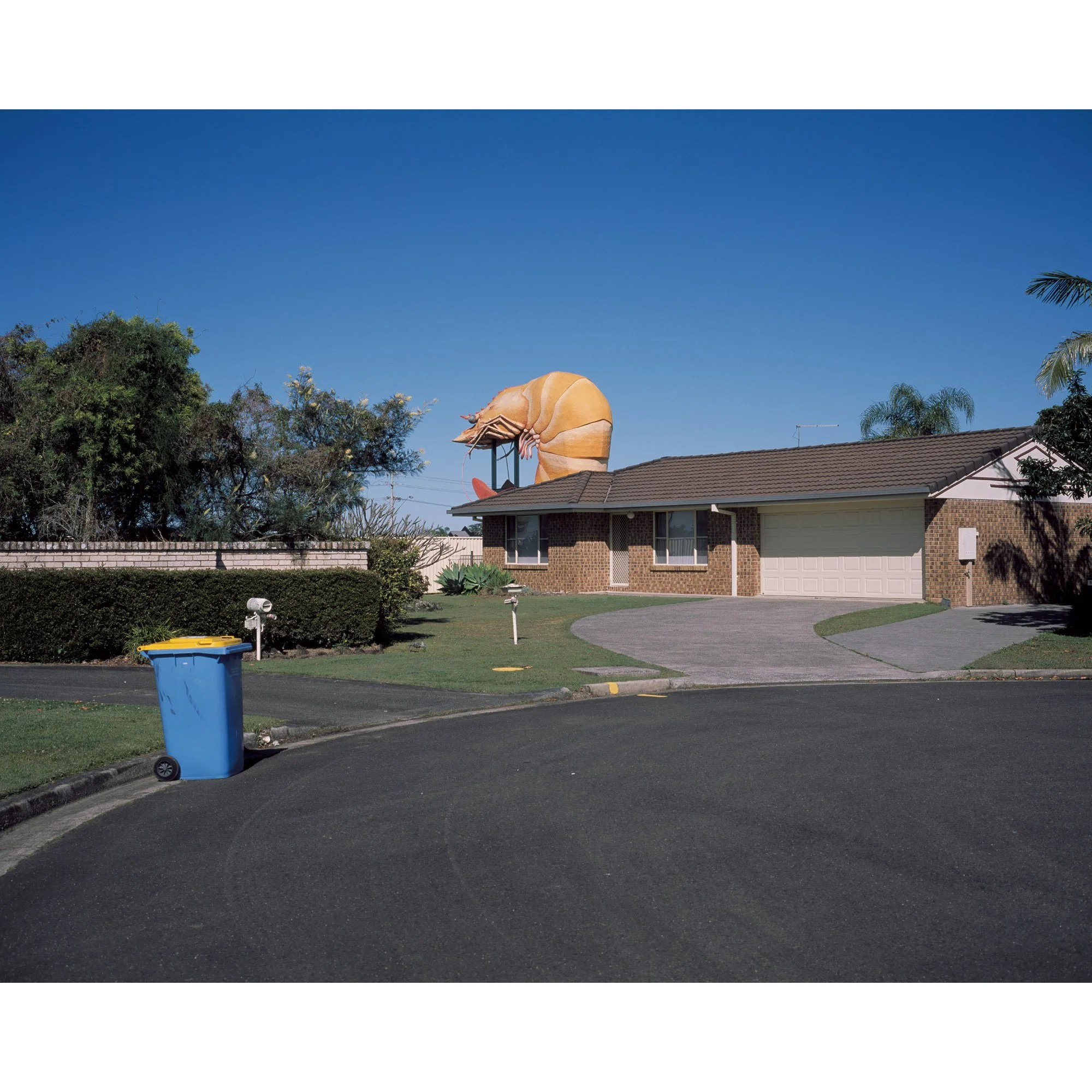 Suburban Prawn