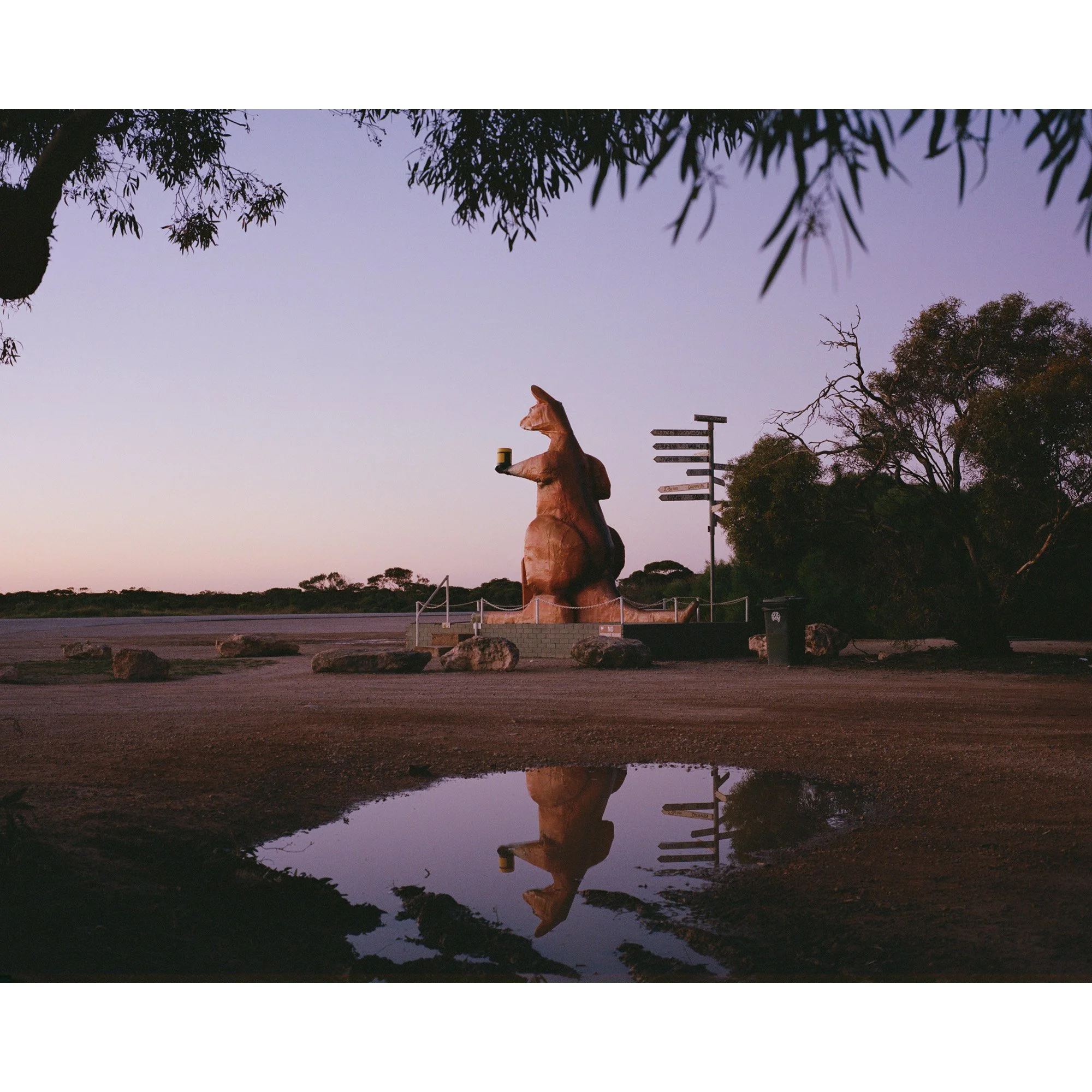 Portra 400 120 40000113130007.jpg