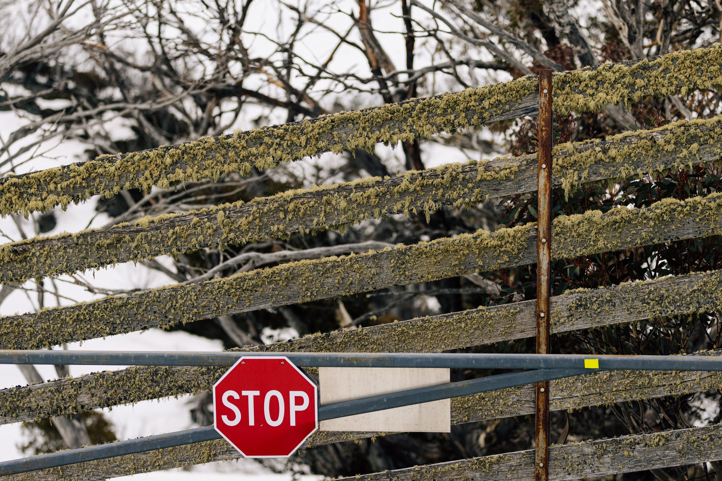 Stop Sign