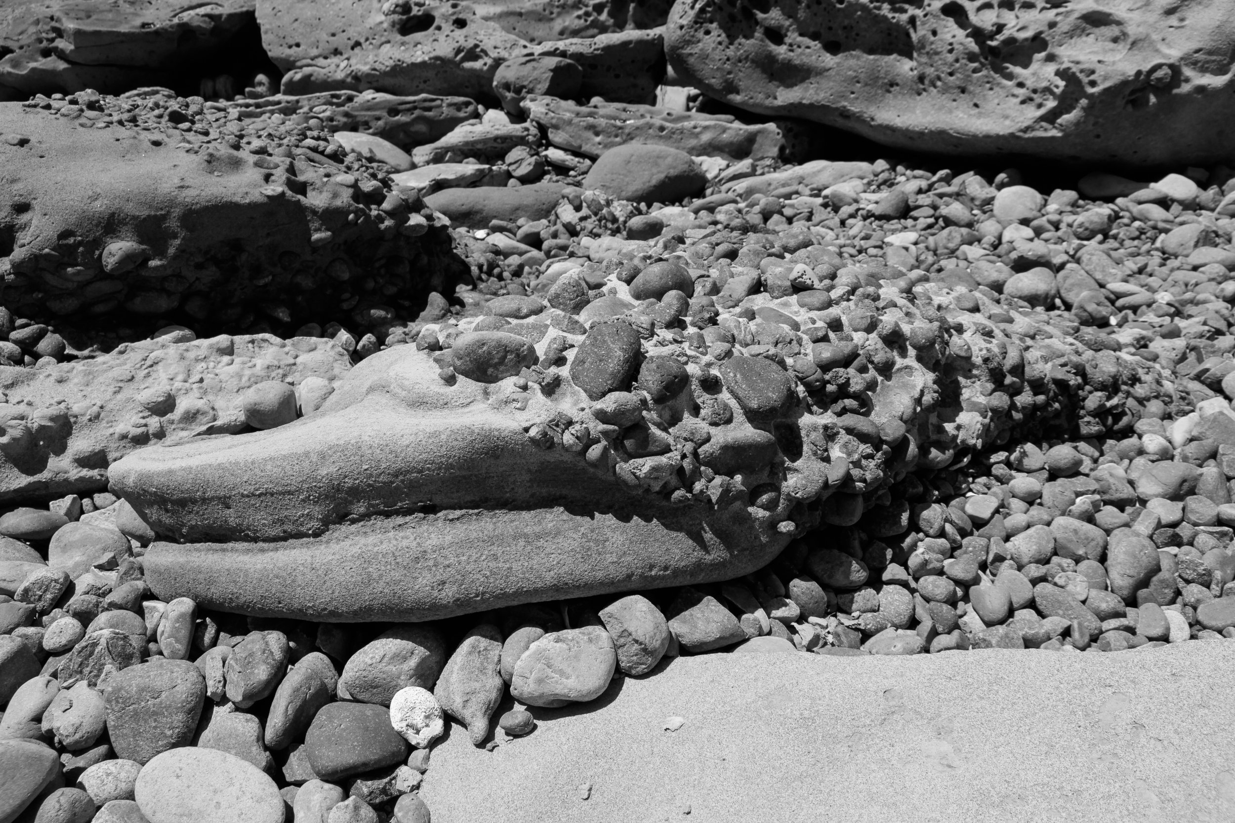 La Jolla_9049.jpg