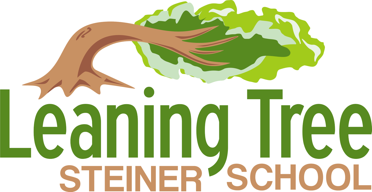 Leaning Tree Steiner School