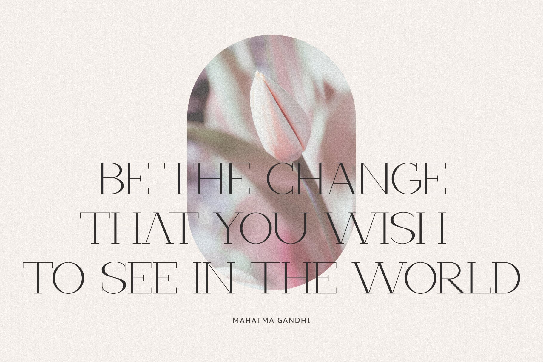 Verona Serif Font | Elegant Typeface for Premium Designs