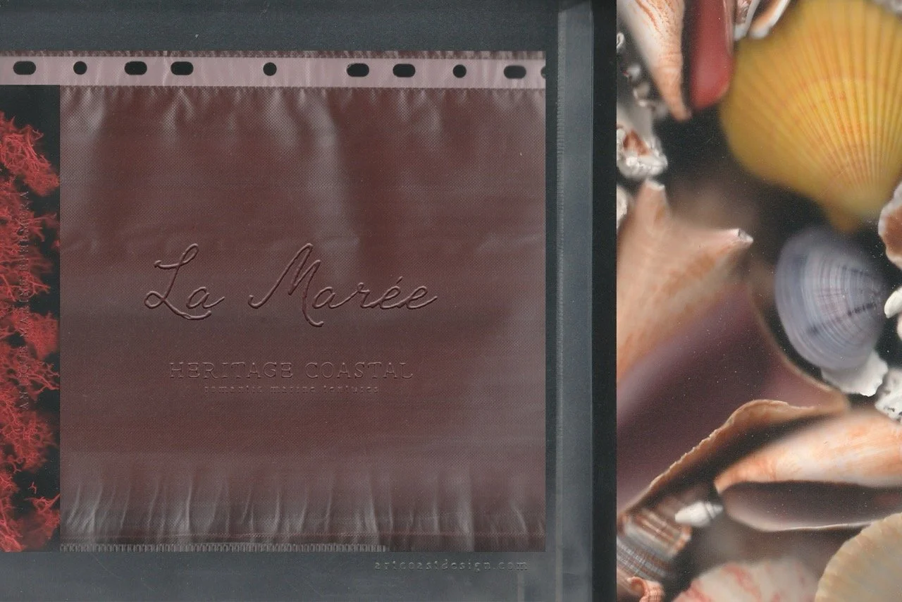 La-Maree-Backgrounds-1.jpeg