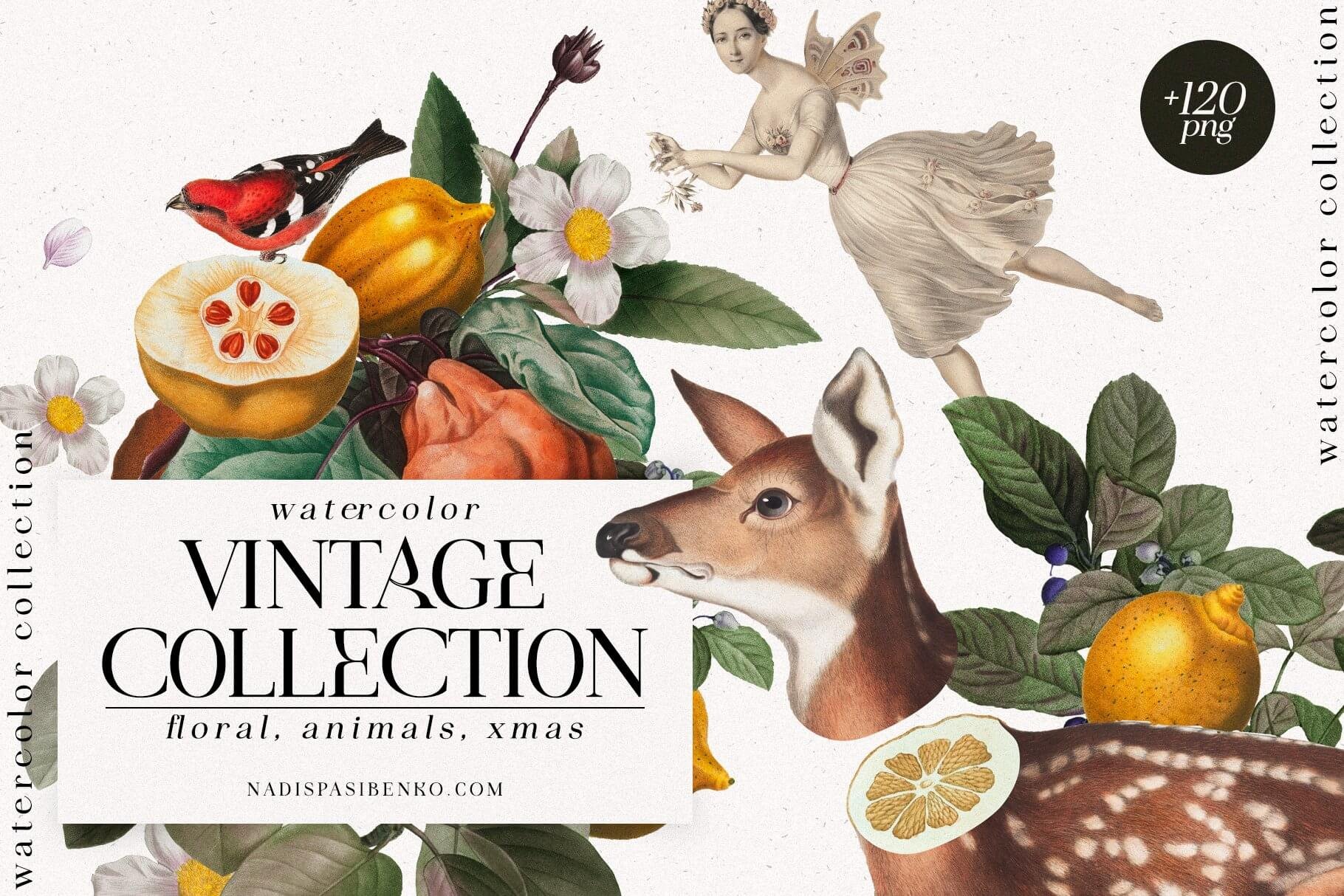 Vintage Collage Illustrations Collection - Creative Vintage Elements