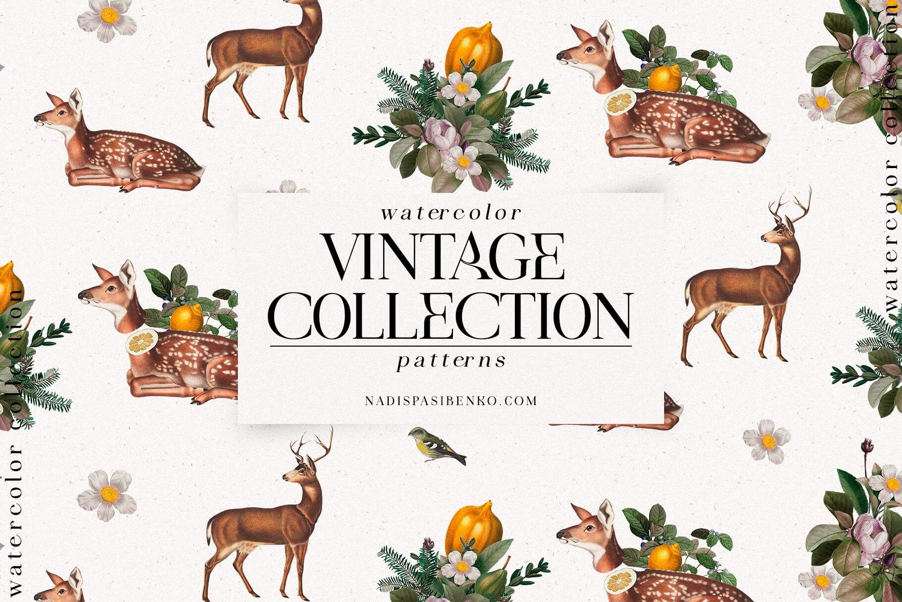 Vintage Collage Illustrations Collection - Creative Vintage Elements