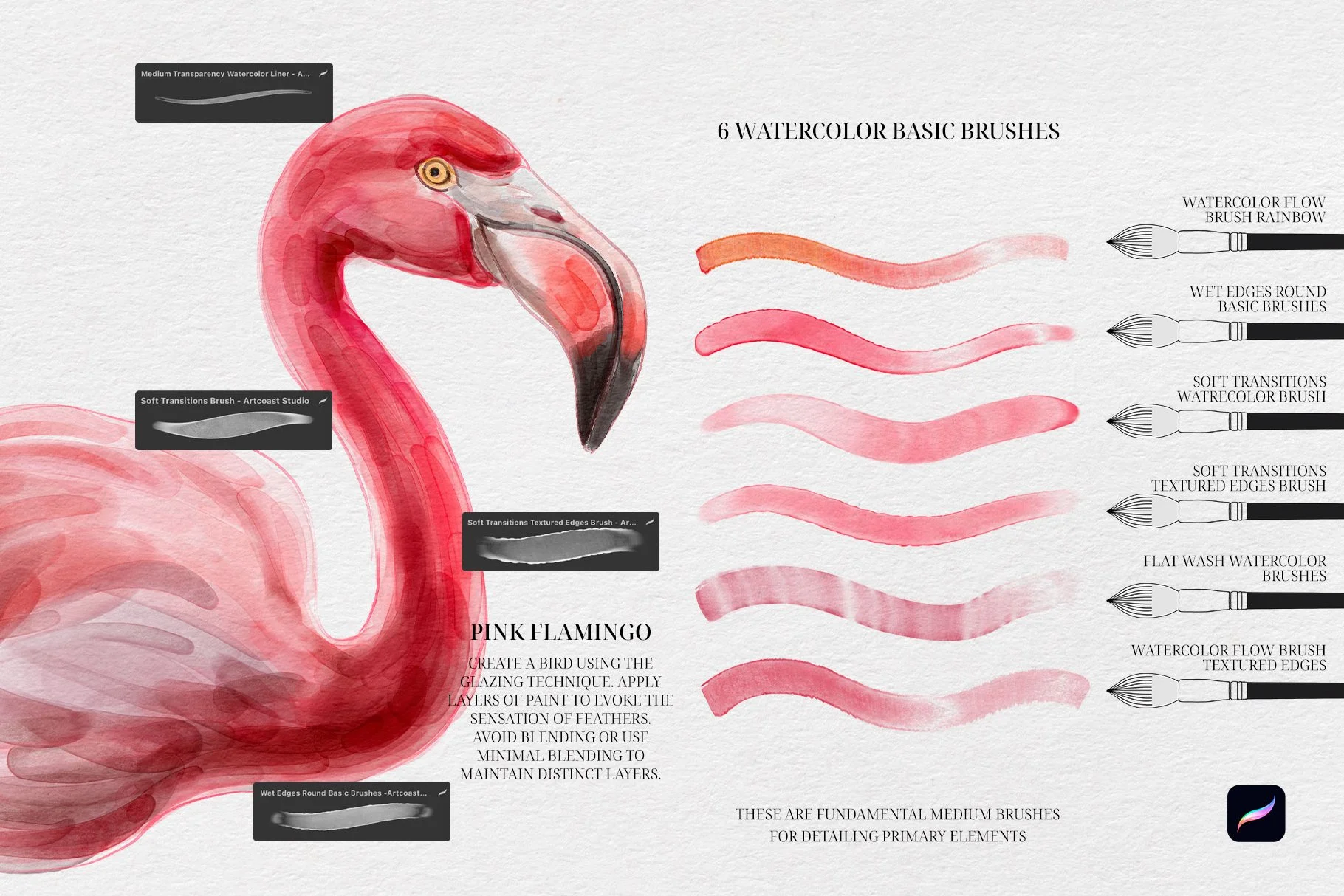 Unveiling the Magic: Watercolor Realistic Brushes for Procreate