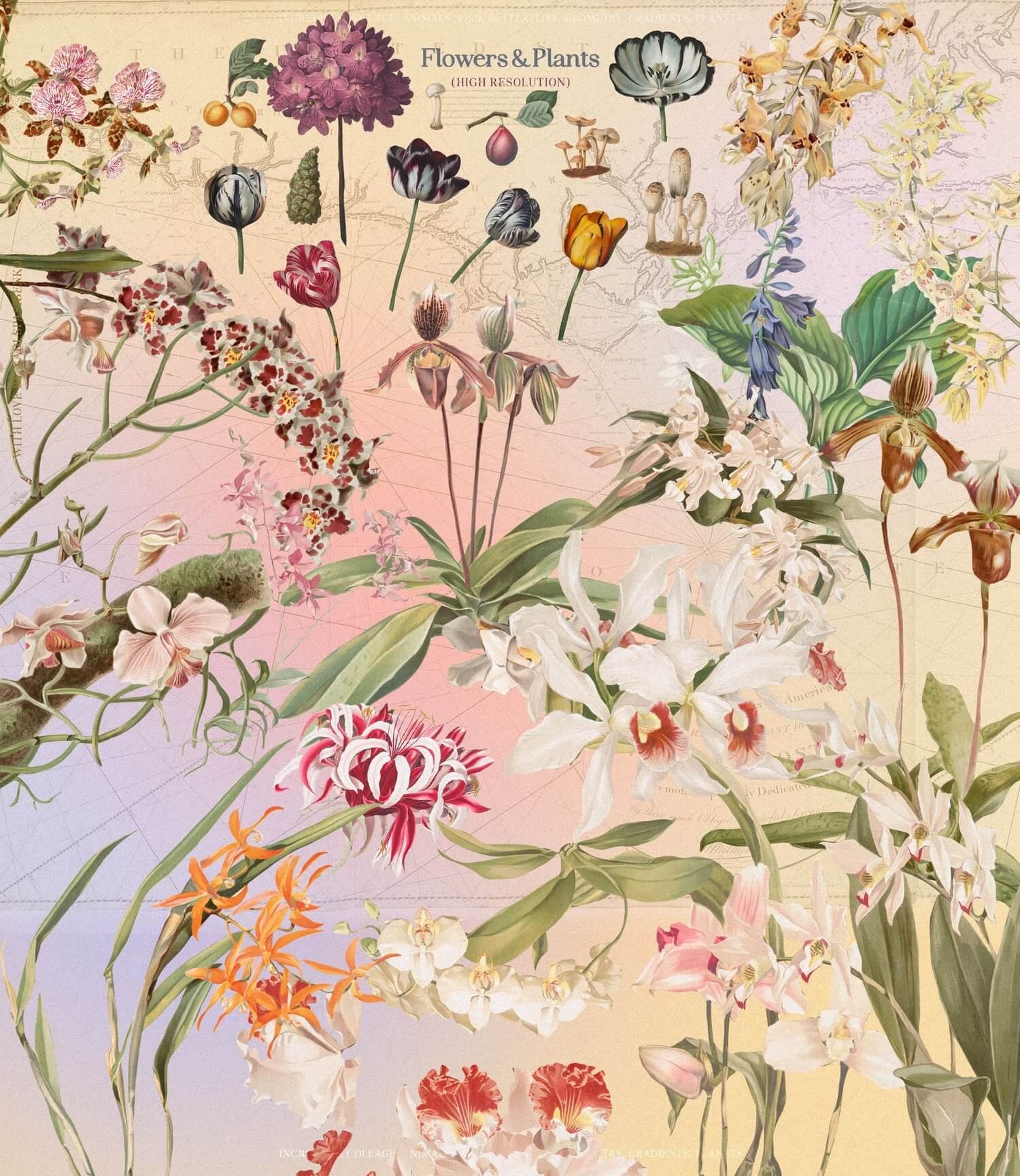 Incredible Vintage Collages & Graphics Collection