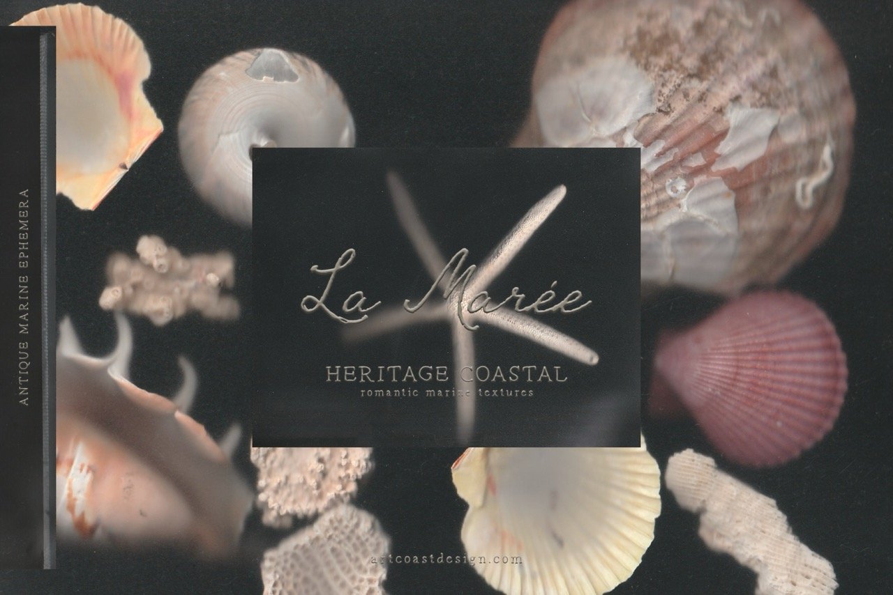 La-Maree-Backgrounds-10.jpeg