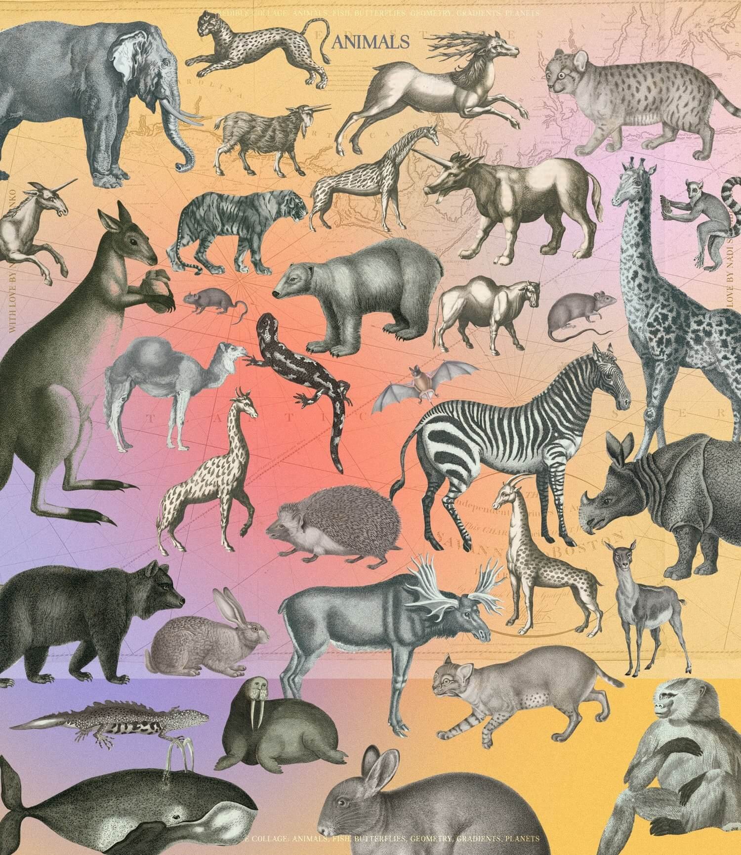 Incredible Vintage Collages & Graphics Collection