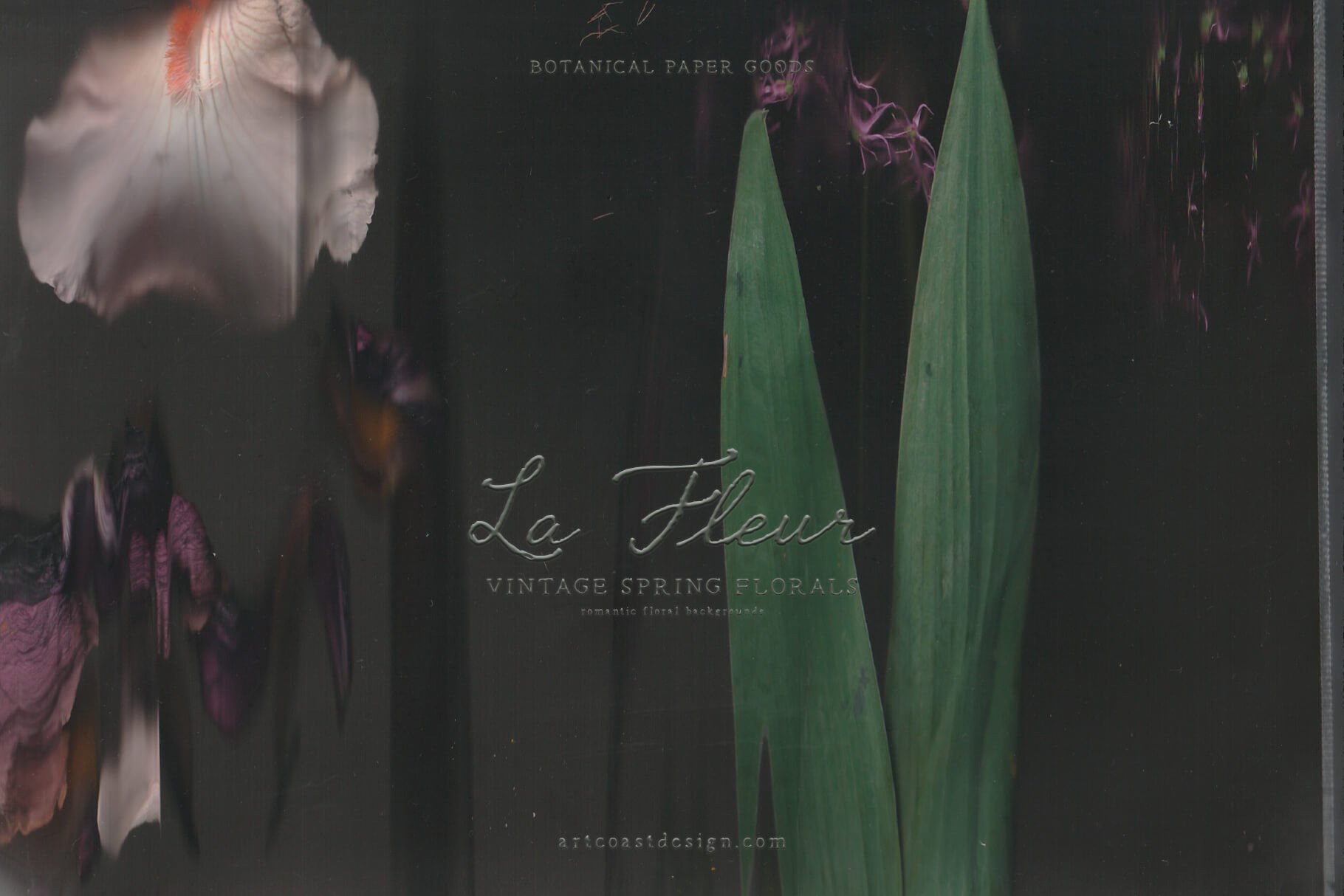La Fleur — Vintage Botanical Digital Paper Collection