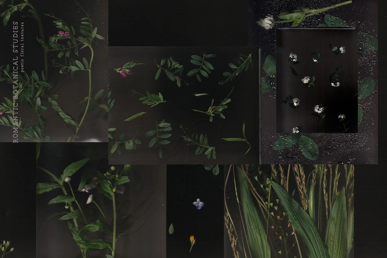Dark Botanical Backgrounds & Moody Floral Textures