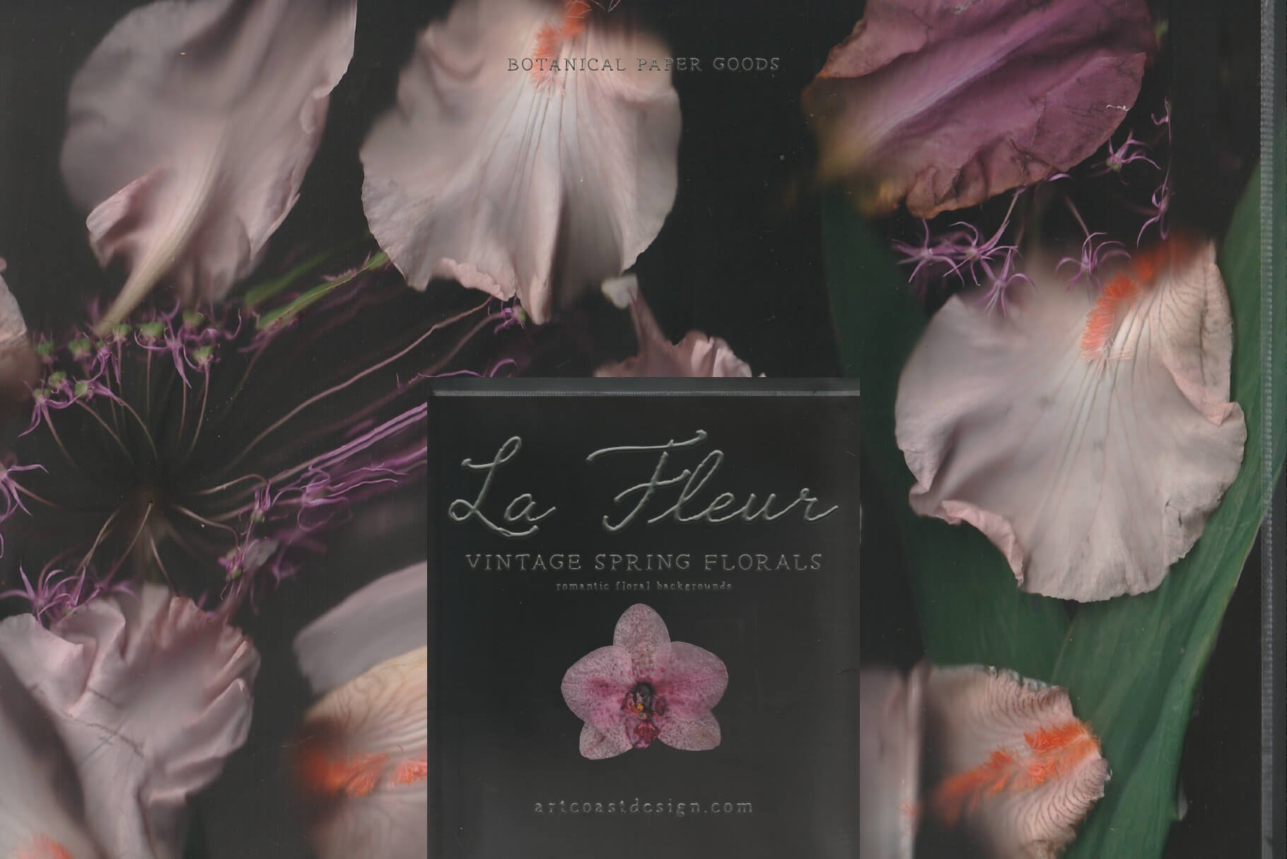La Fleur — Vintage Botanical Digital Paper Collection
