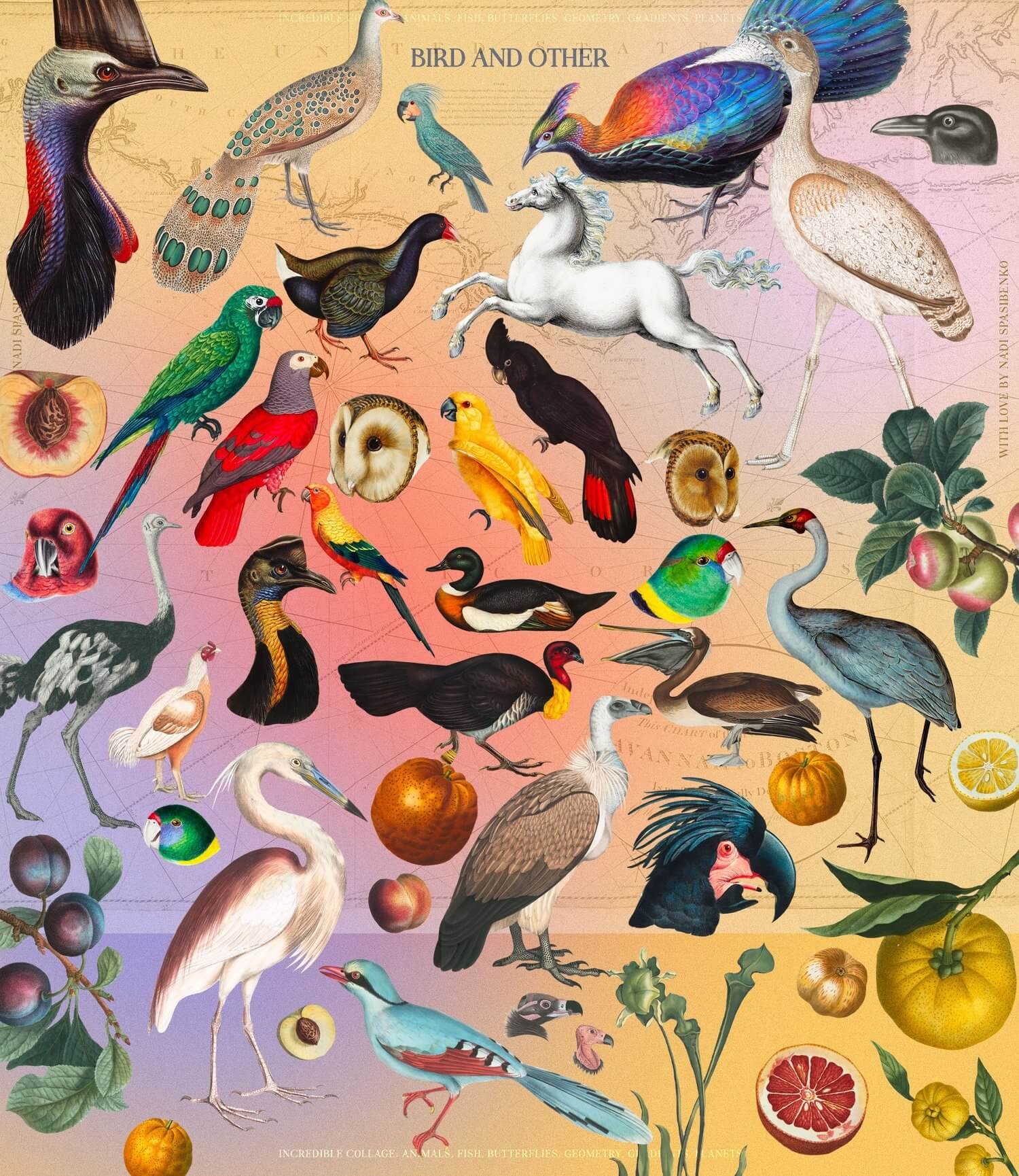 Incredible Vintage Collages & Graphics Collection