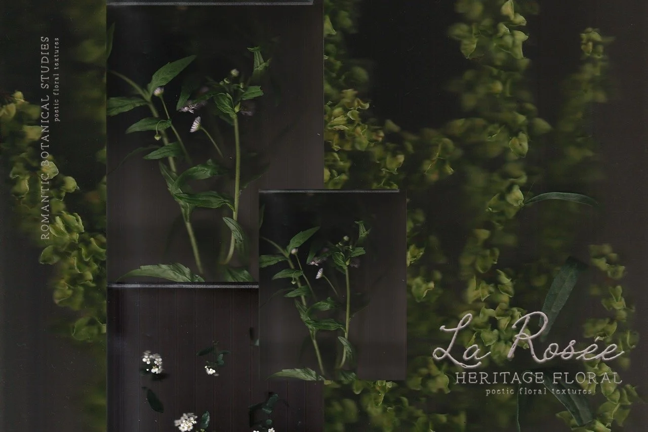 Dark Botanical Backgrounds & Moody Floral Textures