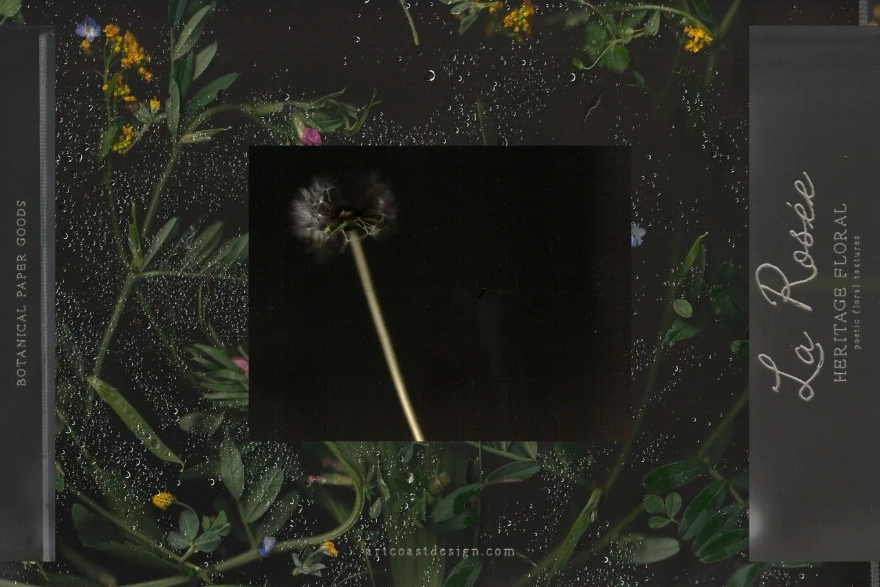 Dark Botanical Backgrounds & Moody Floral Textures