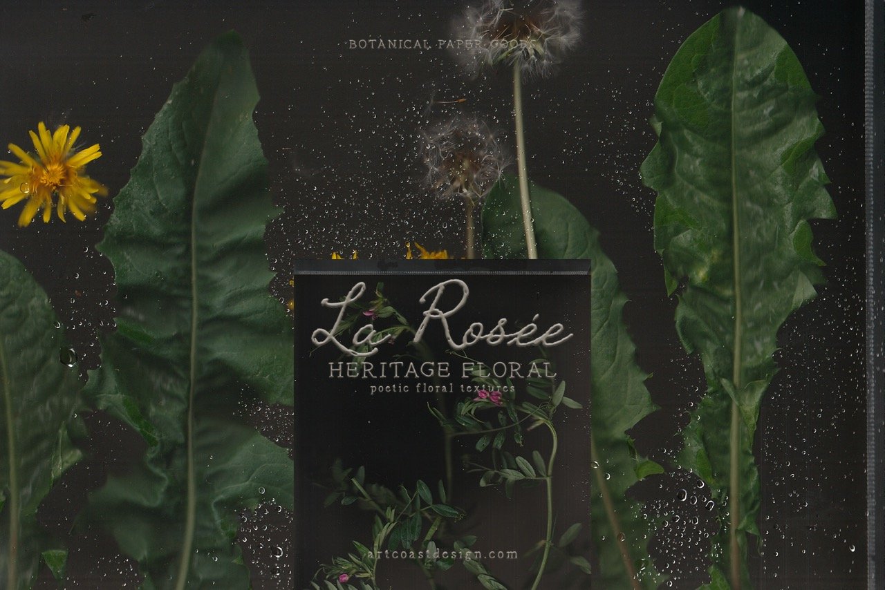 Dark Botanical Backgrounds & Moody Floral Textures