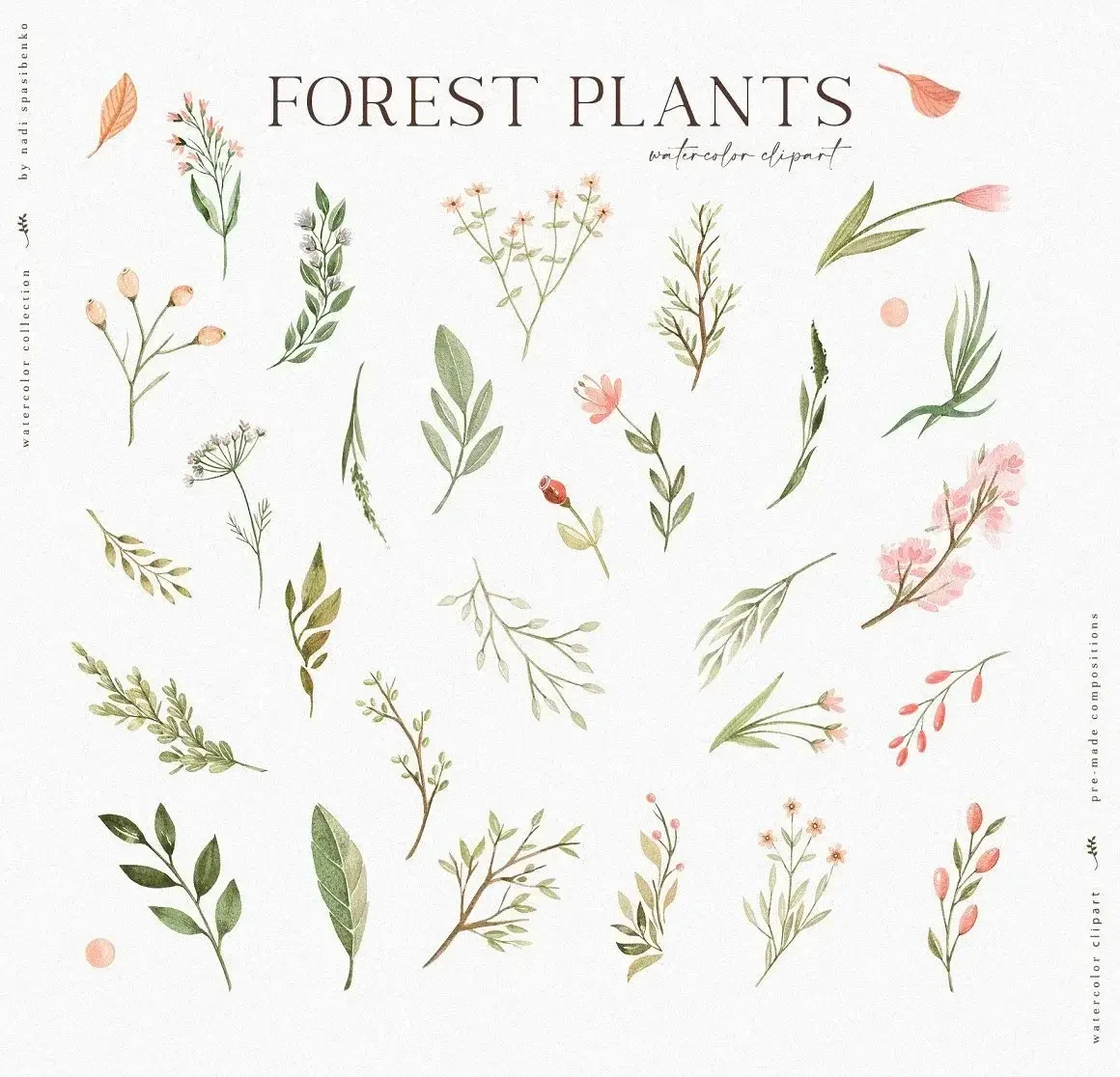 Forest Baby Vol. 2 | Whimsical Watercolor Animals & Floral Kit