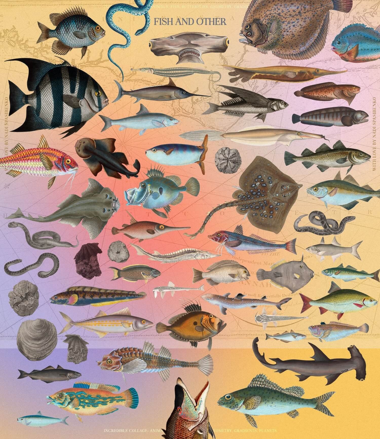 Incredible Vintage Collages & Graphics Collection