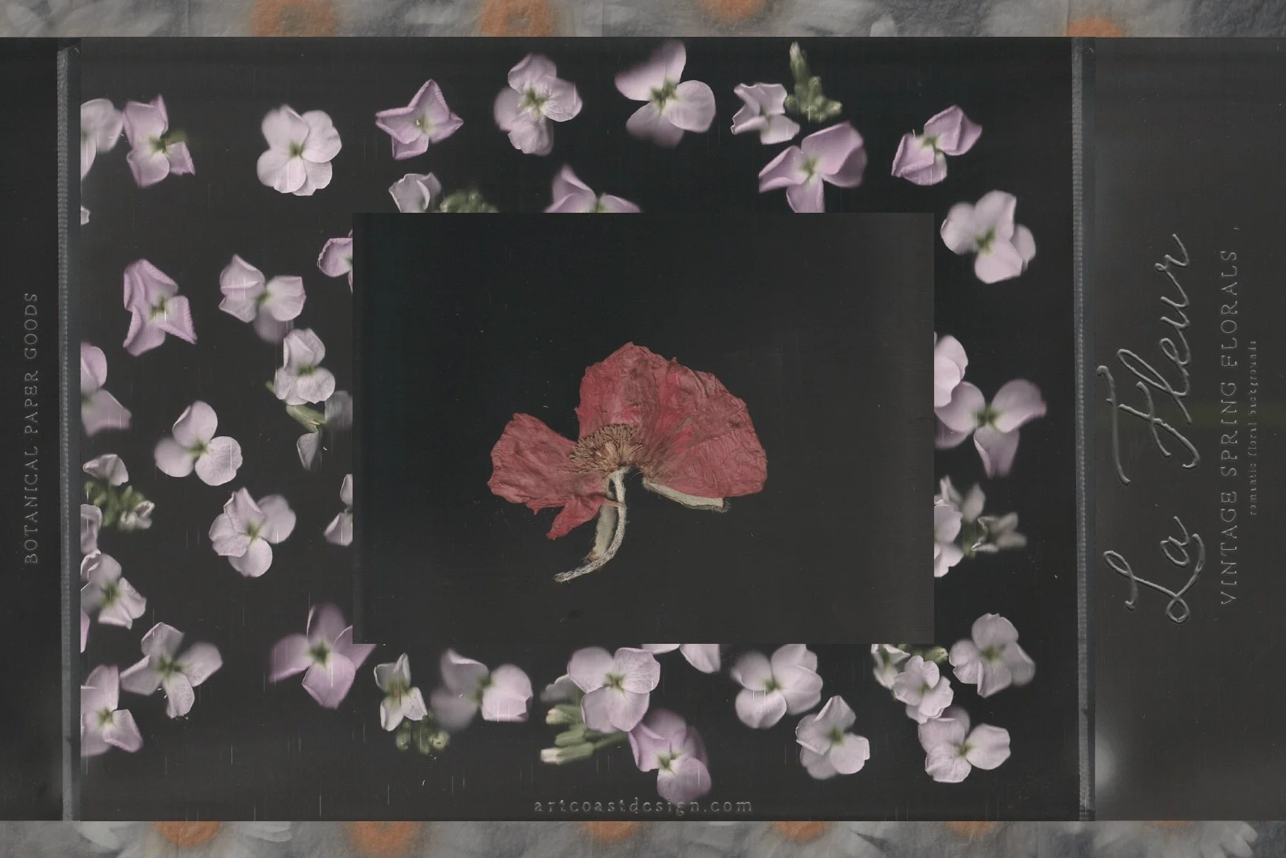 La Fleur — Vintage Botanical Digital Paper Collection