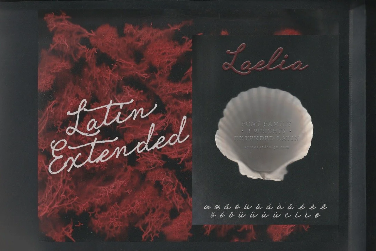 Laelia Elegant Script Font for Branding, Luxury Wedding Typeface