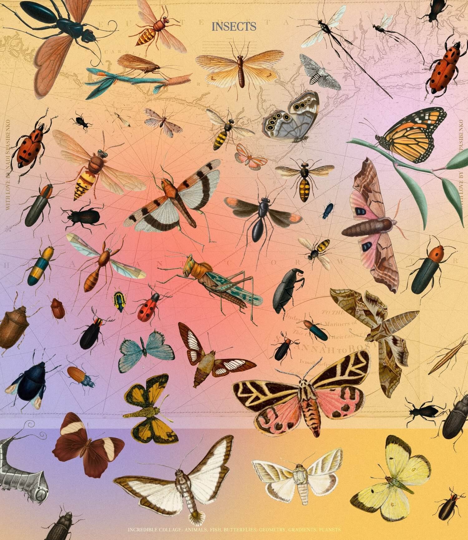 Incredible Vintage Collages & Graphics Collection