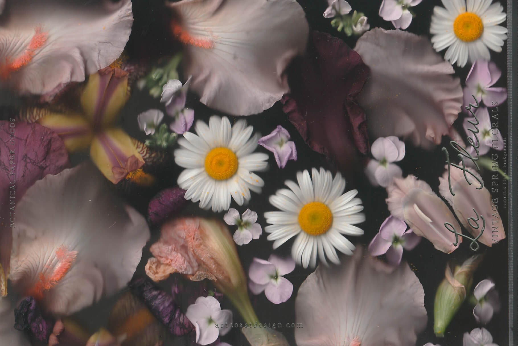 La Fleur — Vintage Botanical Digital Paper Collection