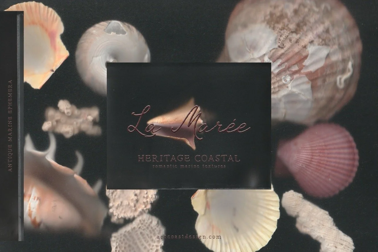 La Maree — Coastal Ephemera