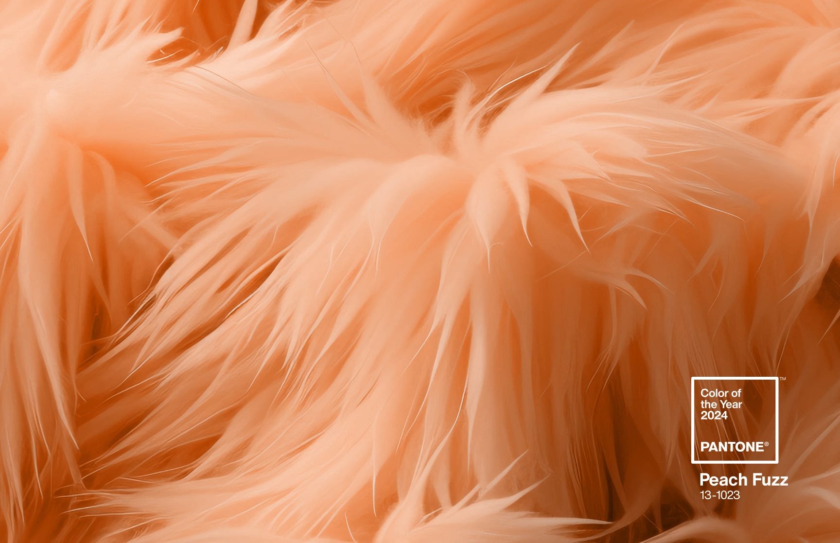 Peach Fuzz Symbolizing Serenity and Warmth in Pantone's 2024 Color of