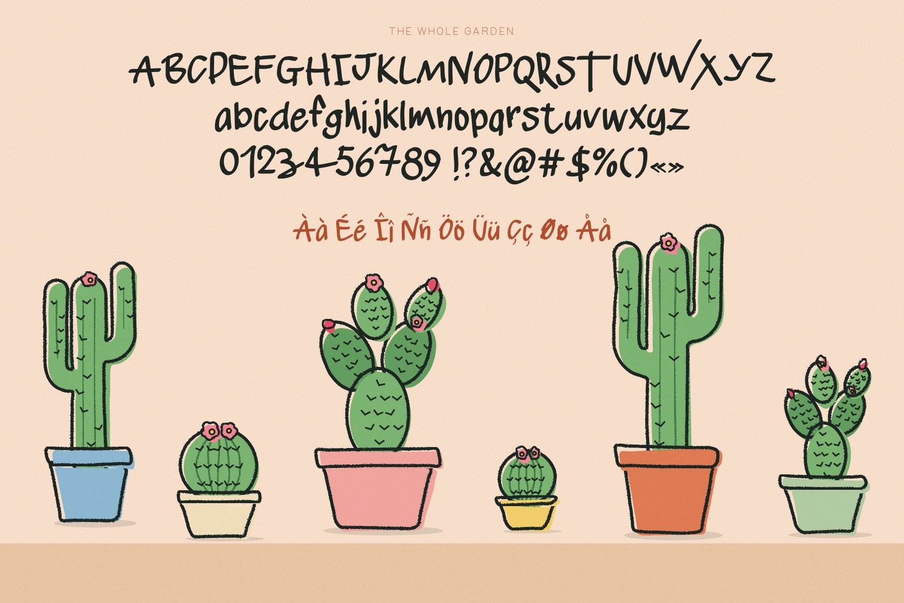 SA Opuntia full character set: uppercase and lowercase letters, numbers, punctuation and accented letters, above a shelf of hand-drawn cacti in colorful pots.
