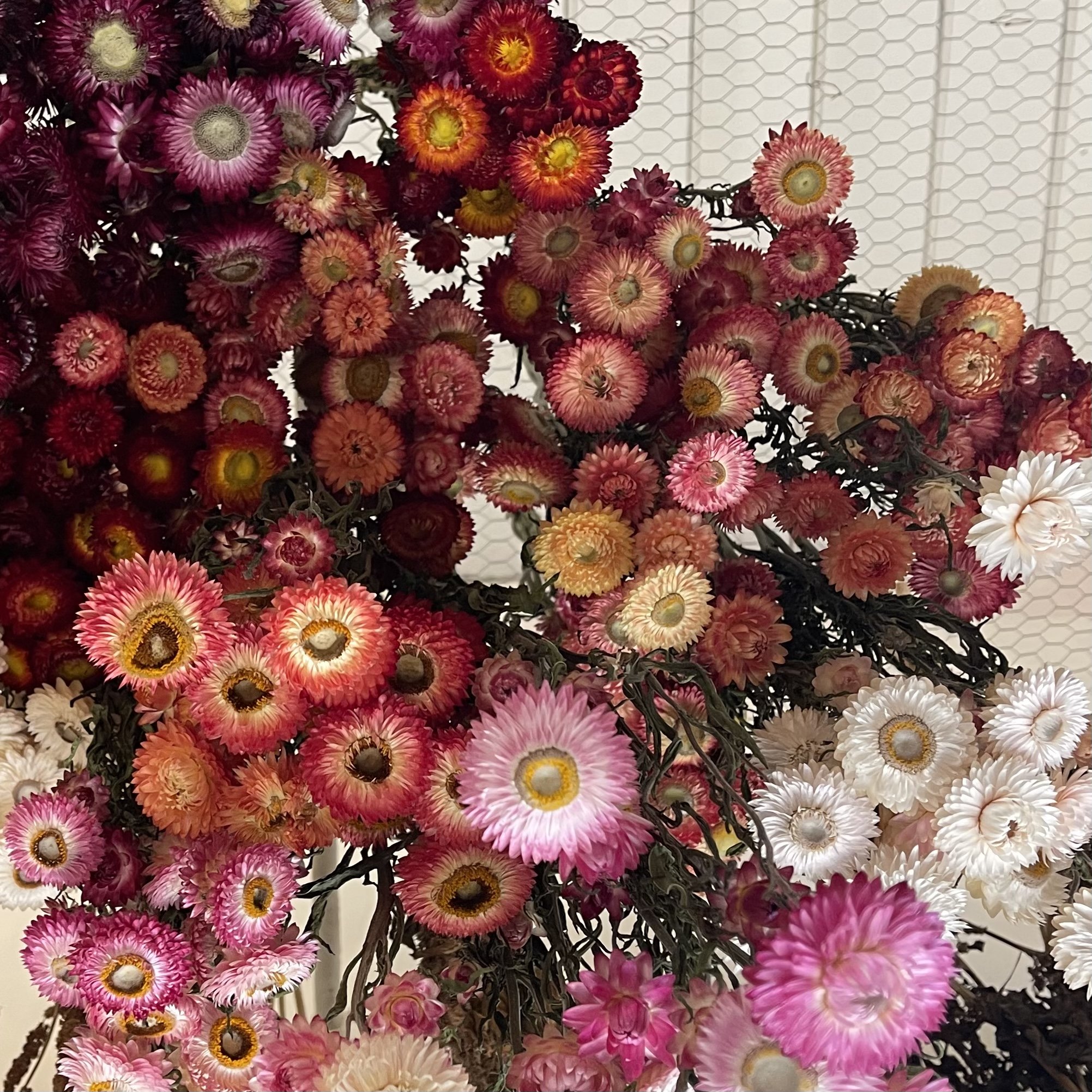 0A94DDD7-680C-4F2D-A8B6-D6900D2F10A9.jpeg