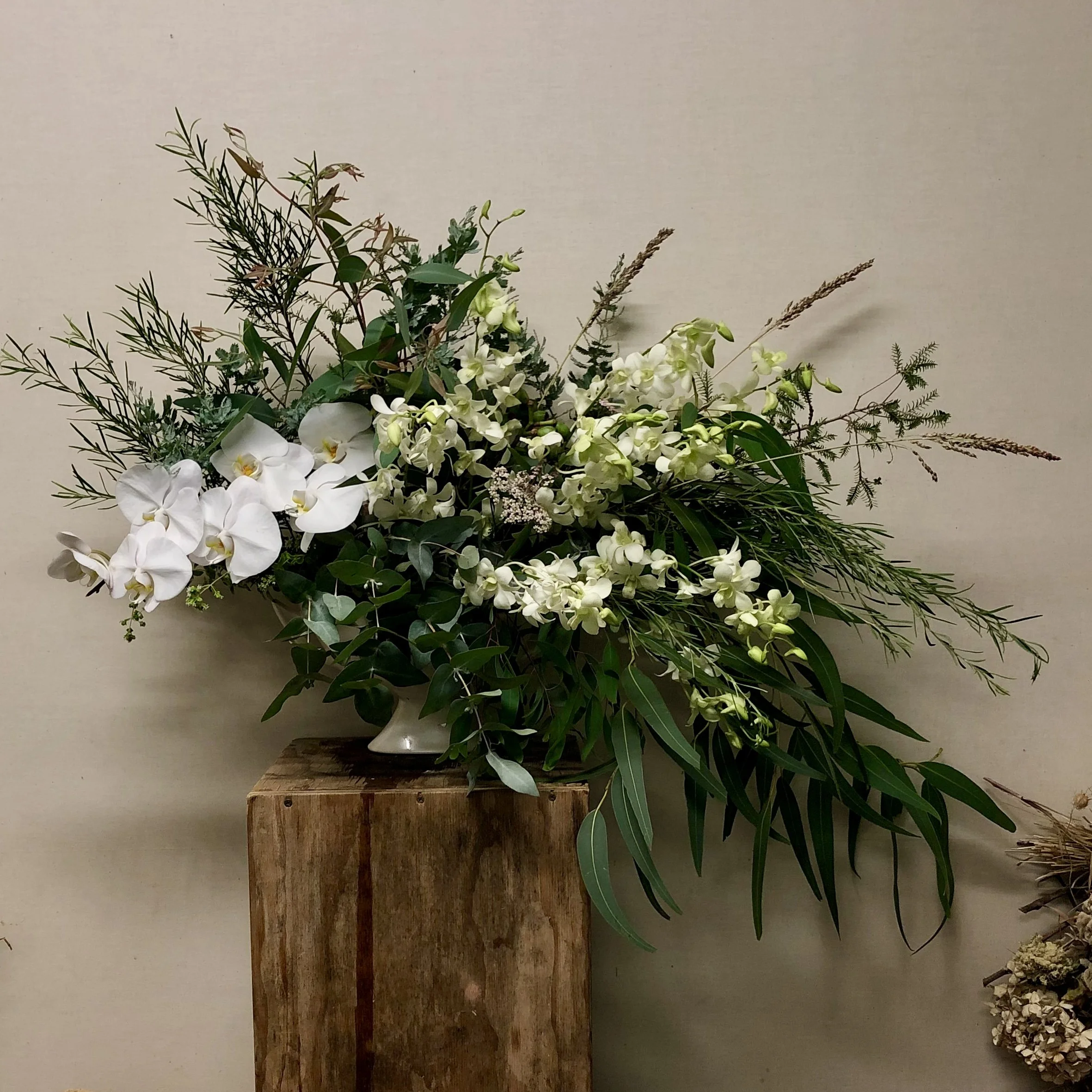 orchids.jpg