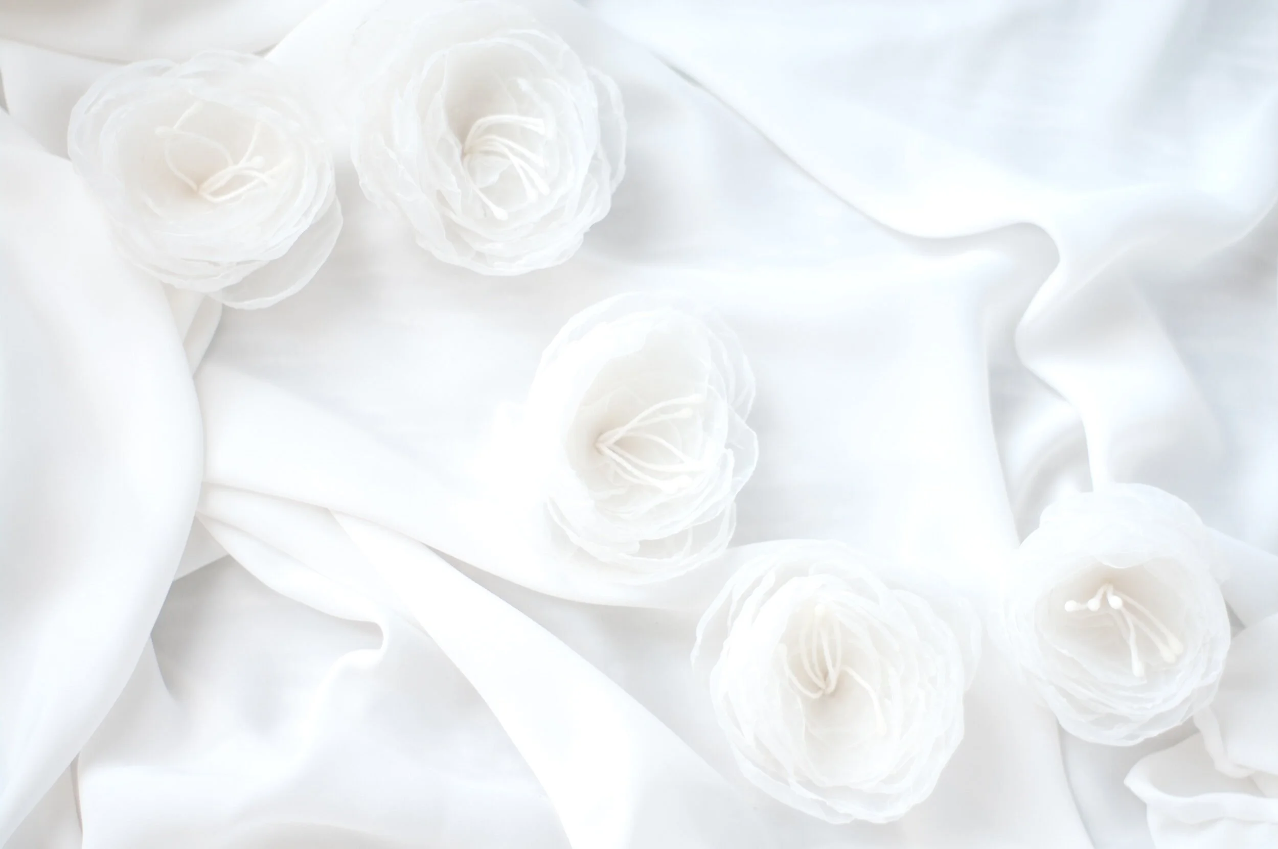 White silk fabric with several white floral decorations on it.