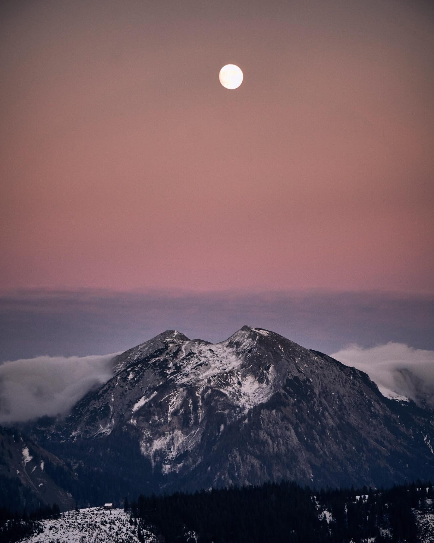 Ihr Lieben 🌿, 

ich m&ouml;chte mich von ganzem Herzen f&uuml;r das gemeinsame Jahr bedanken, ob on- oder offline. Danke f&uuml;r&rsquo;s gemeinsame Wachsen, danke f&uuml;r jede Teilnahme an meinen Workshops, Retreats und Onlinekursen, f&uuml;r  jed