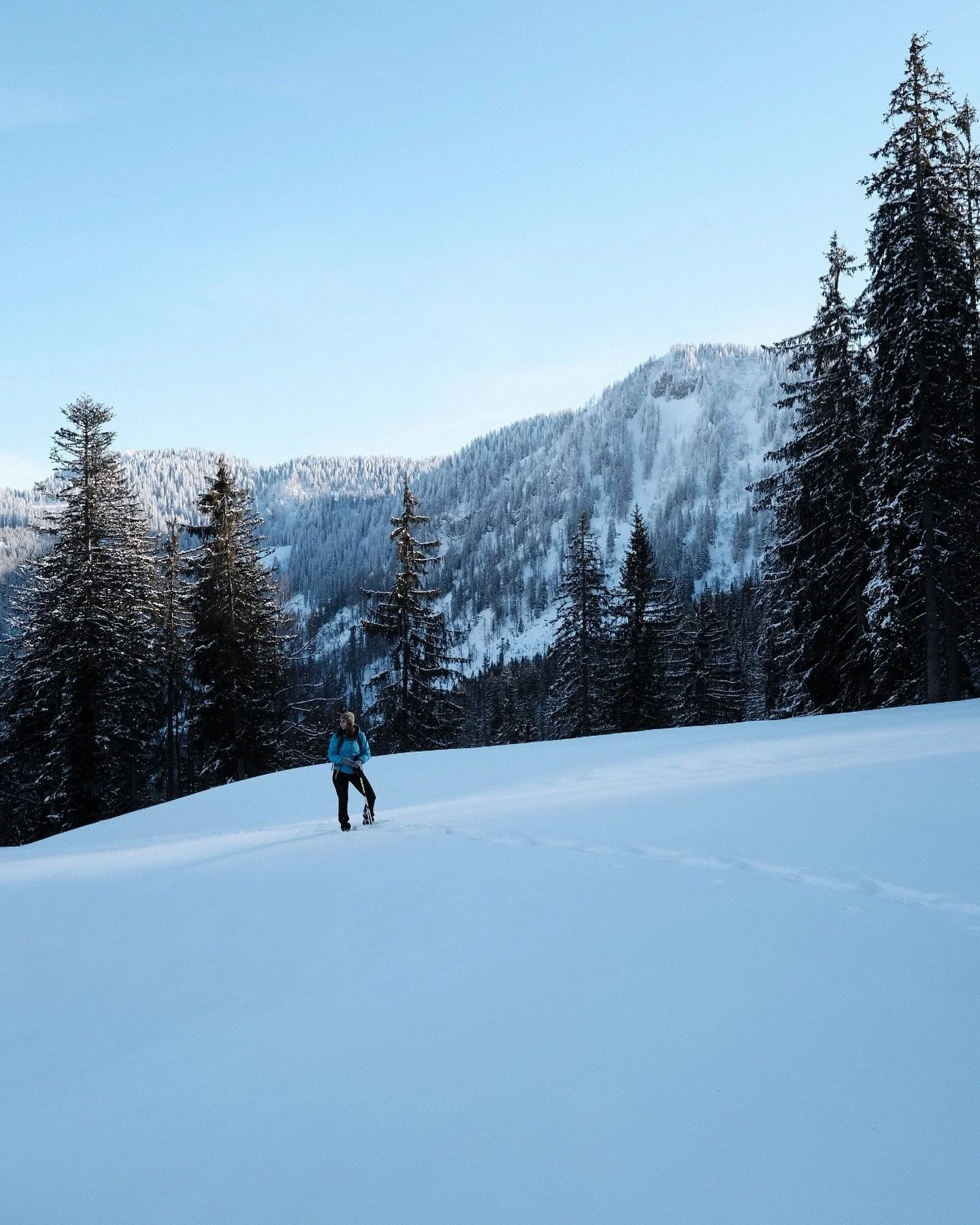 Winterwonderland im @gesaeuse ❄️
.
.
.
.
.
#winterwonderland #ges&auml;use #xeisisnice #nationalparkges&auml;use #visitstyria #steiermark #winterhike #drau&szlig;enzuhause #winterpic #snowydays #landscapelovers #earthoutdoors #outdoorlovers #unsereal