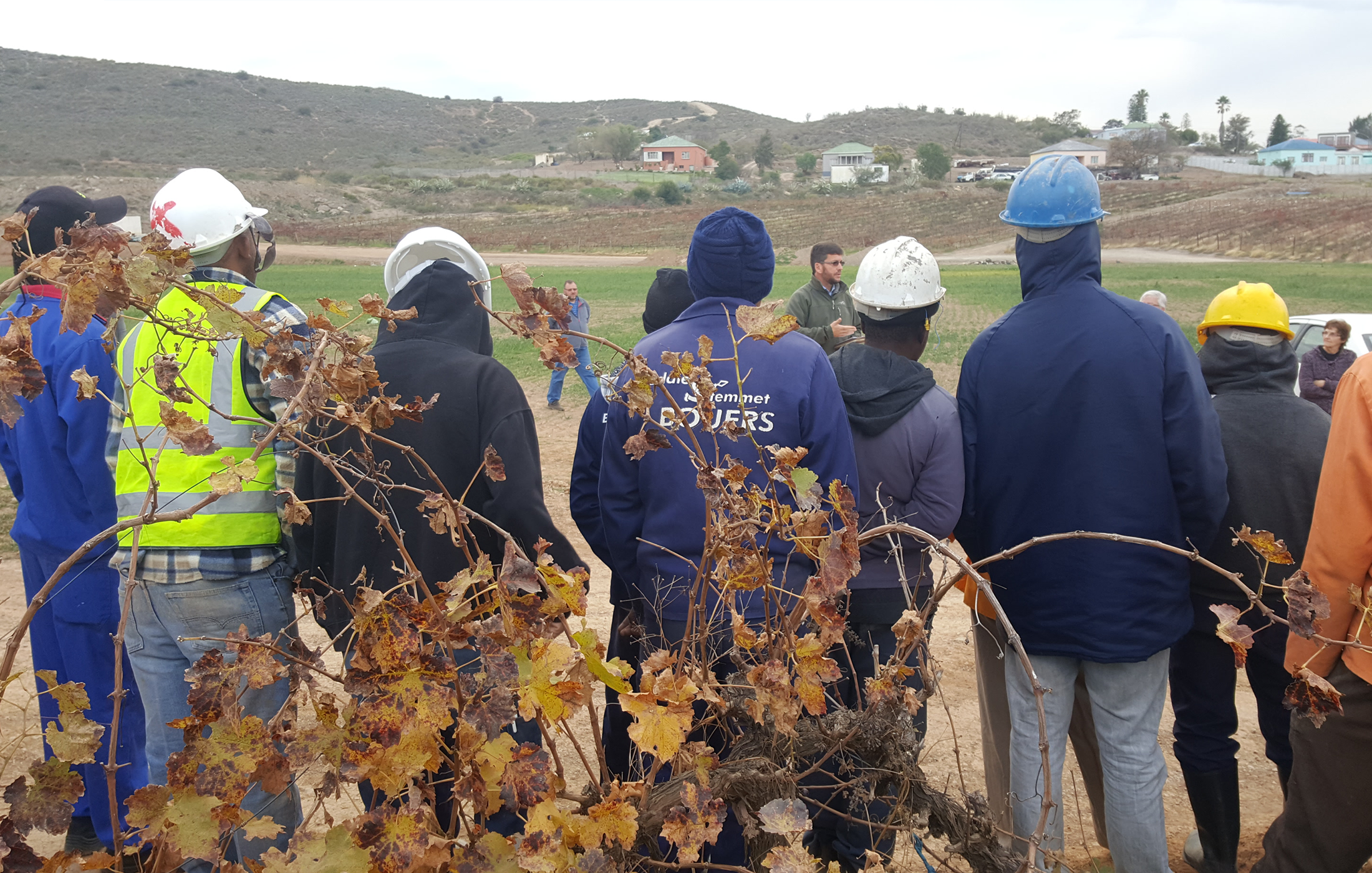 Jakes Gerwel School of Skills, Bonnievale, Western Cape, South Africa