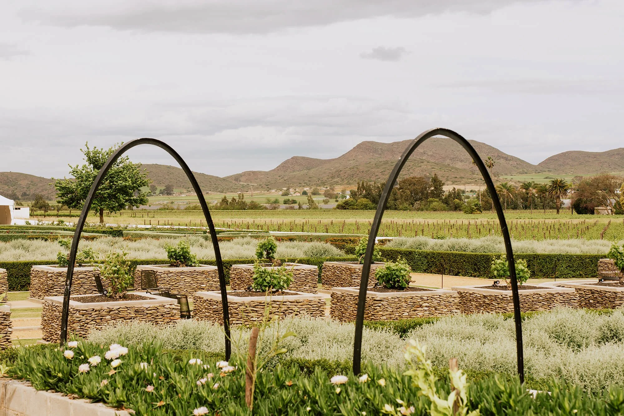 Weltevrede Project FBM Project, Construction & Cost Management