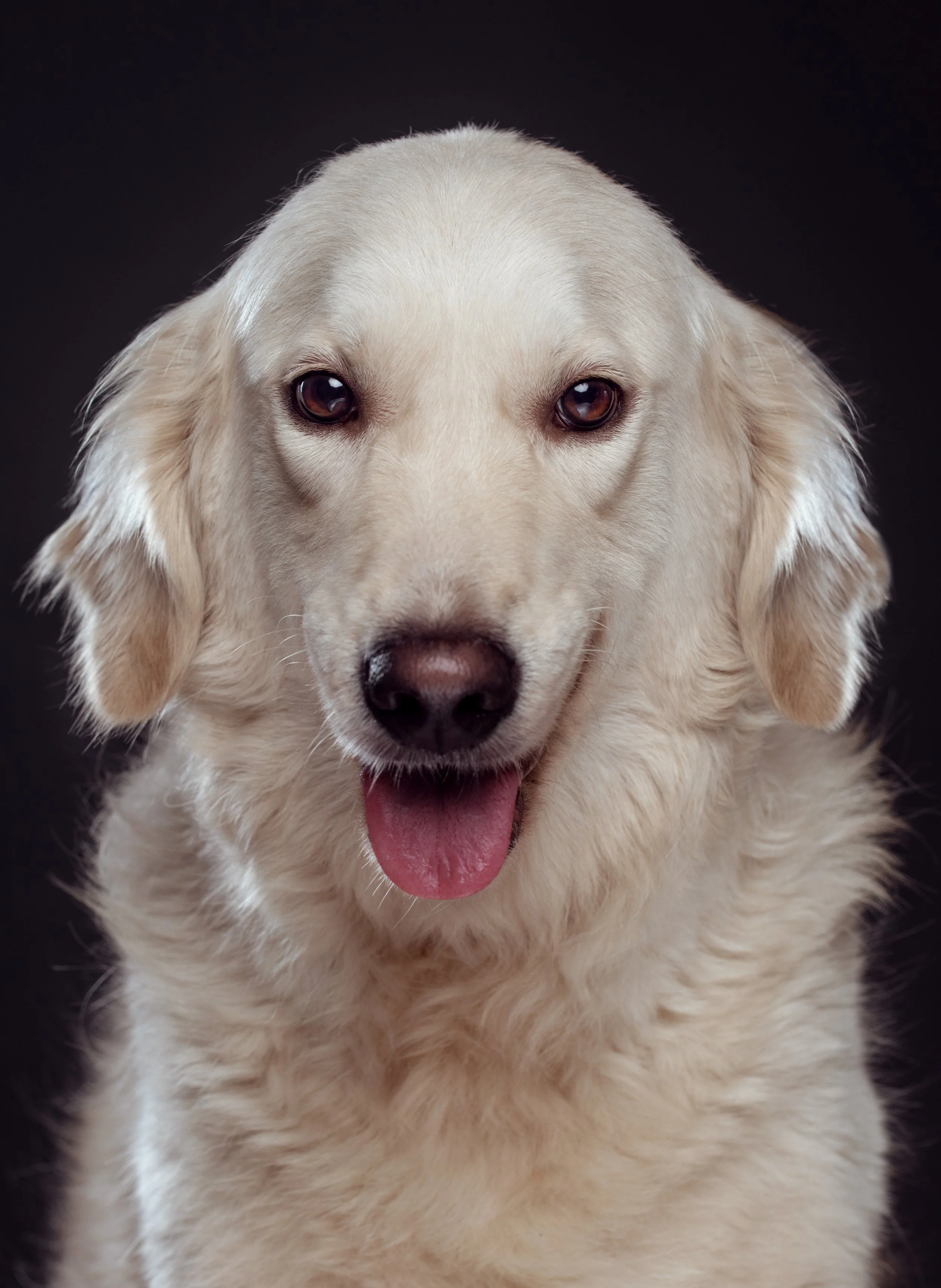 6O4A2315 2 copy 2.JPG