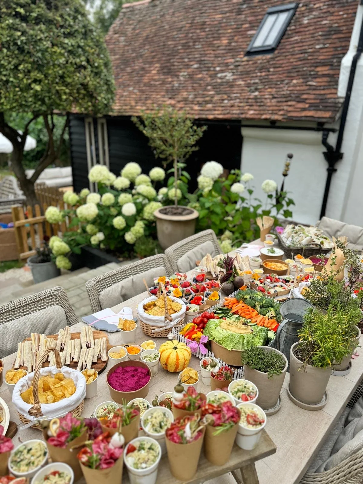 806999ac-dbc4-4d80-8586-d3bb0026c756 2.JPG