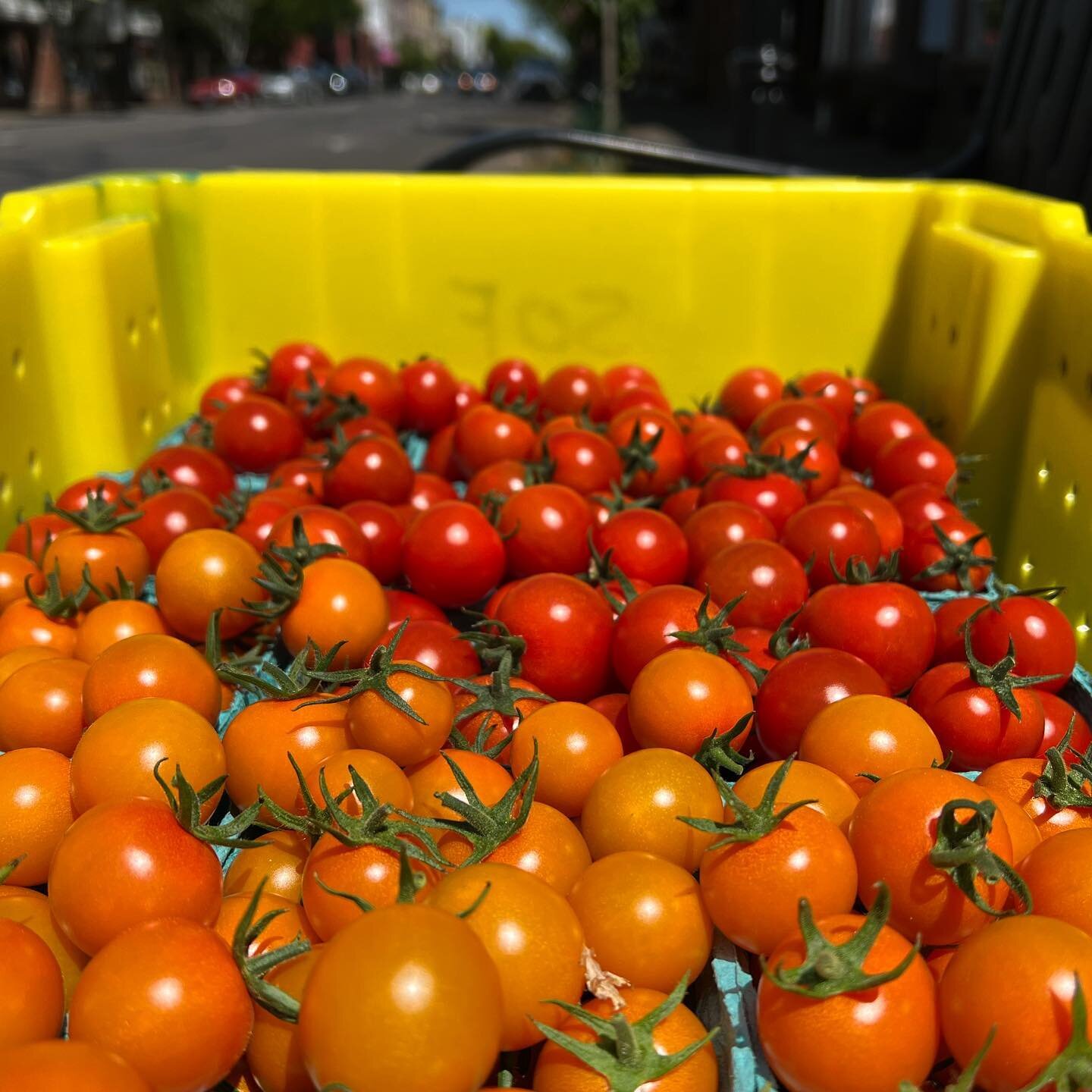 Our good friends from Sunrise Organic Farm in North Albany just delivered summer in a yellow bin! These tomatoes are so scrumptious &mdash; we can&rsquo;t wait to get cooking with them! 🌞🍅